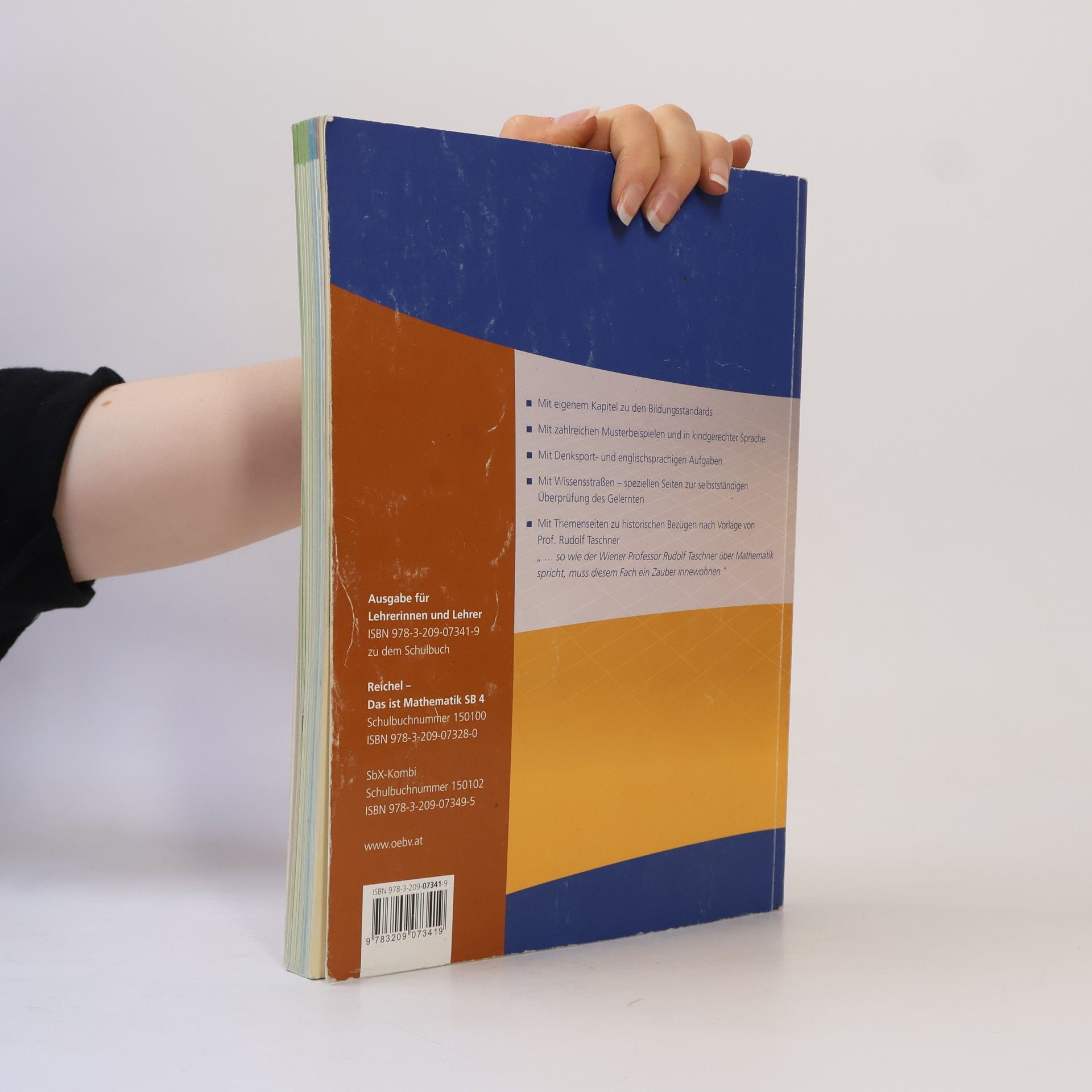 Hans-Christian Reichel Das ist Mathematik