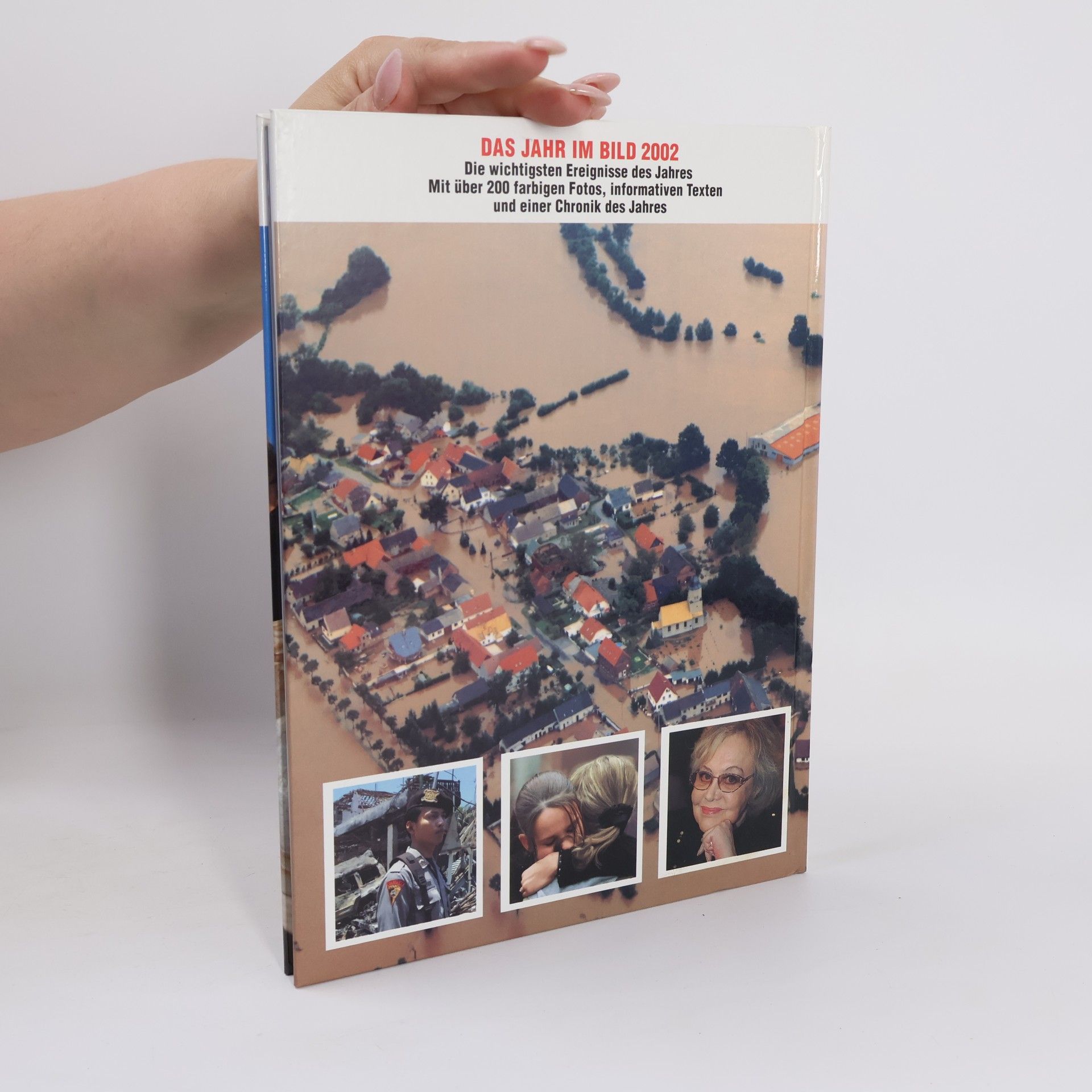 Autorenkollektiv Das Jahr im Bild, 2002