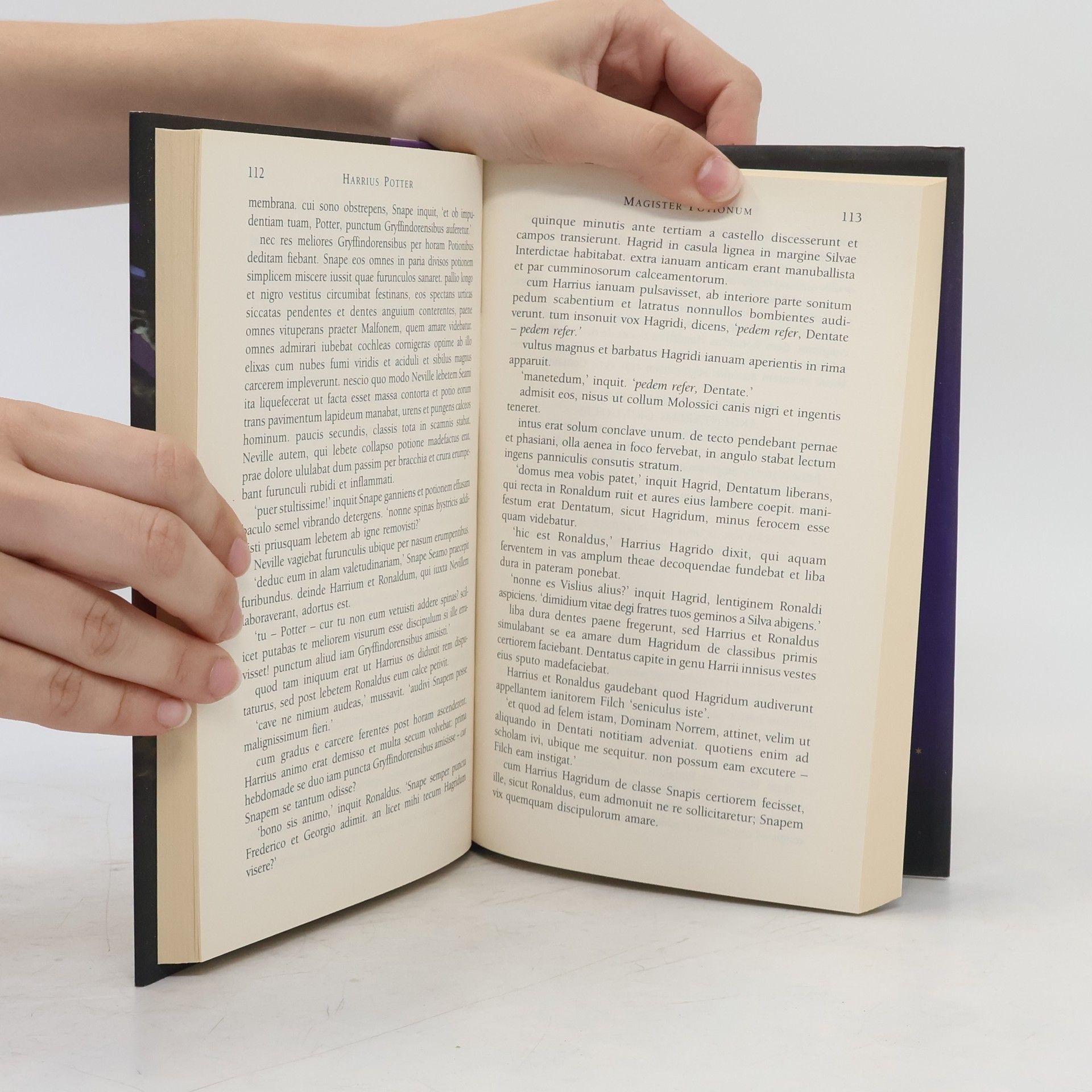 J. K. Rowling Harrius Potter et Philosophi Lapis