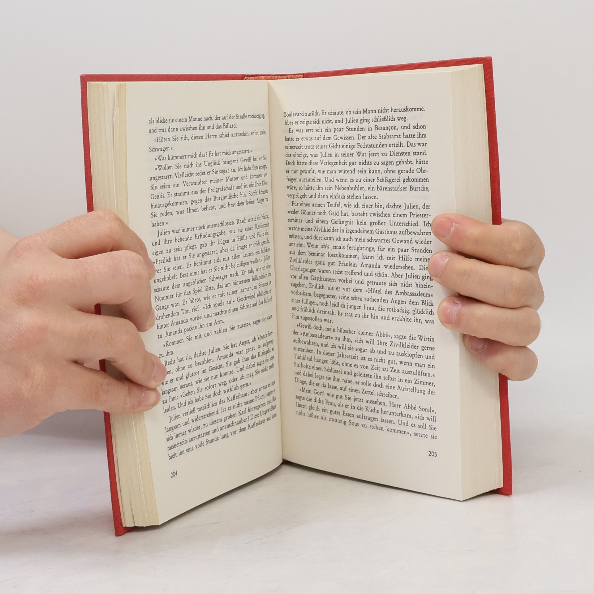 Stendhal Rot und Schwarz