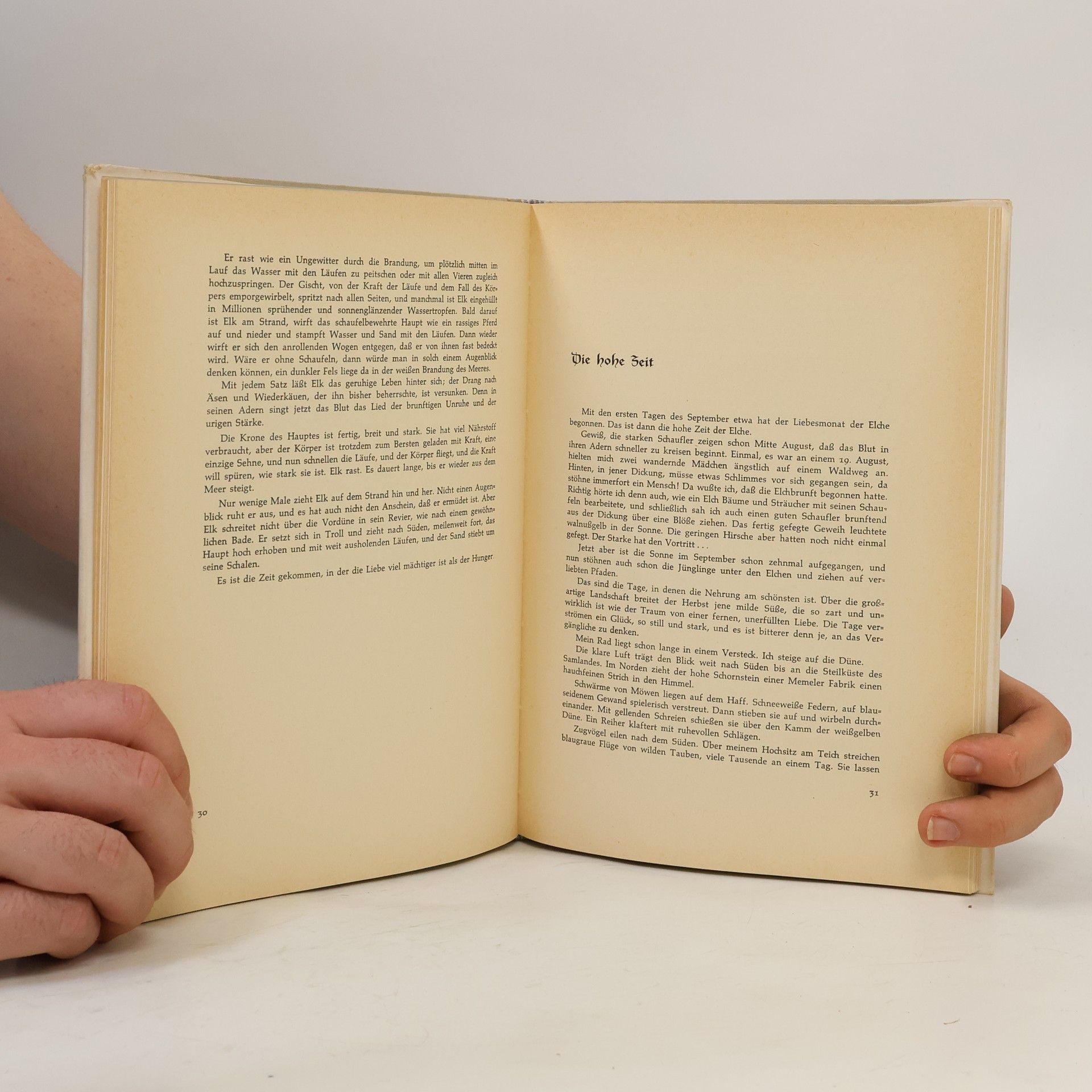 Martin Kakies Das Buch vom Elch