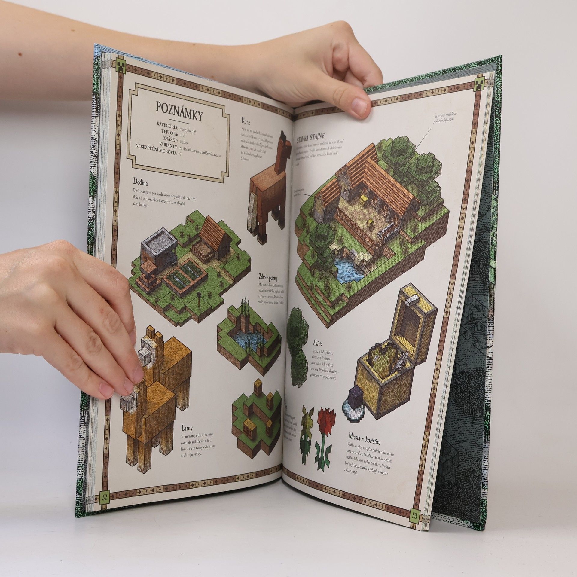 Stephanie Milton Minecraft atlas