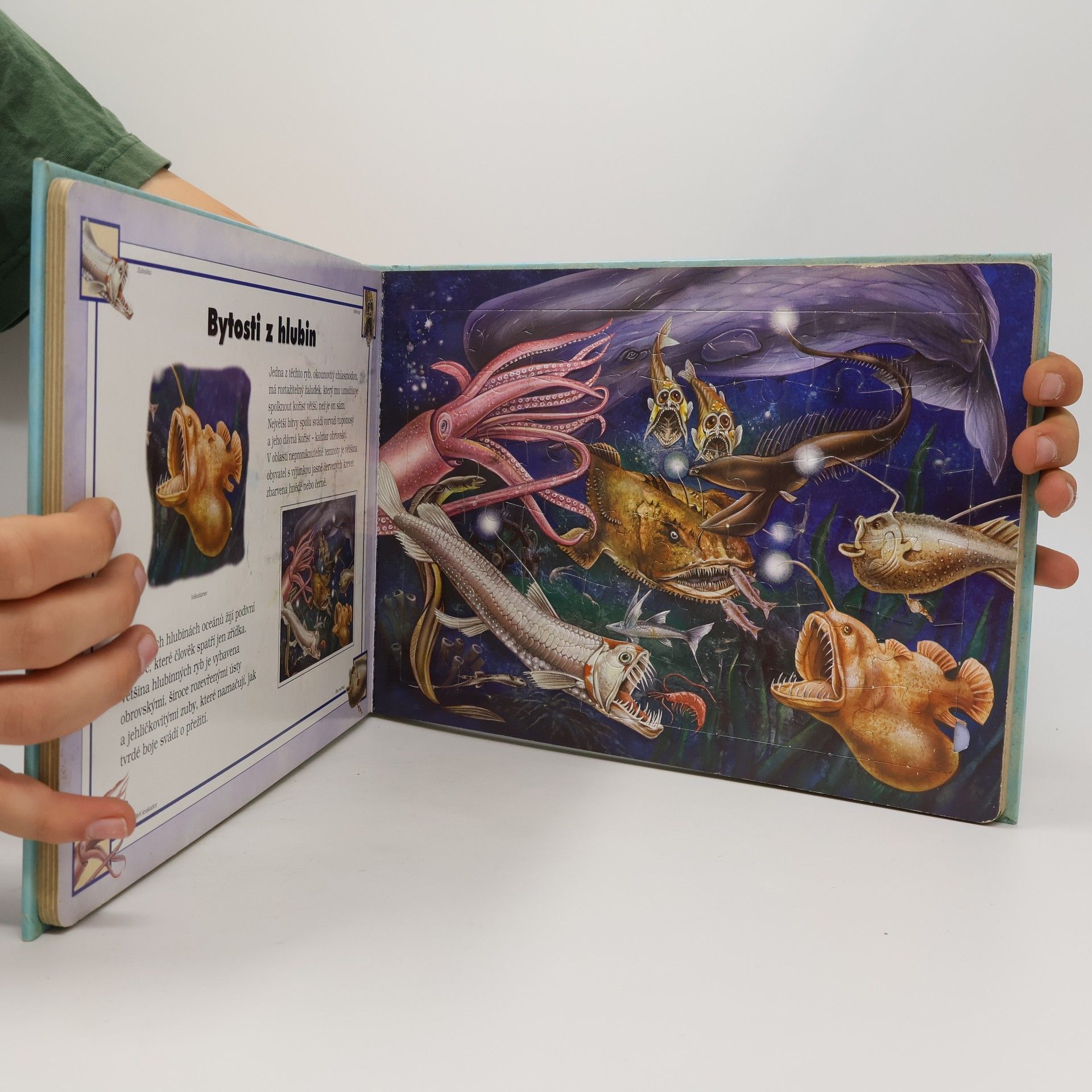 Lee Krutop Svět moří a oceánů : kniha s pěti puzzle (komplet)