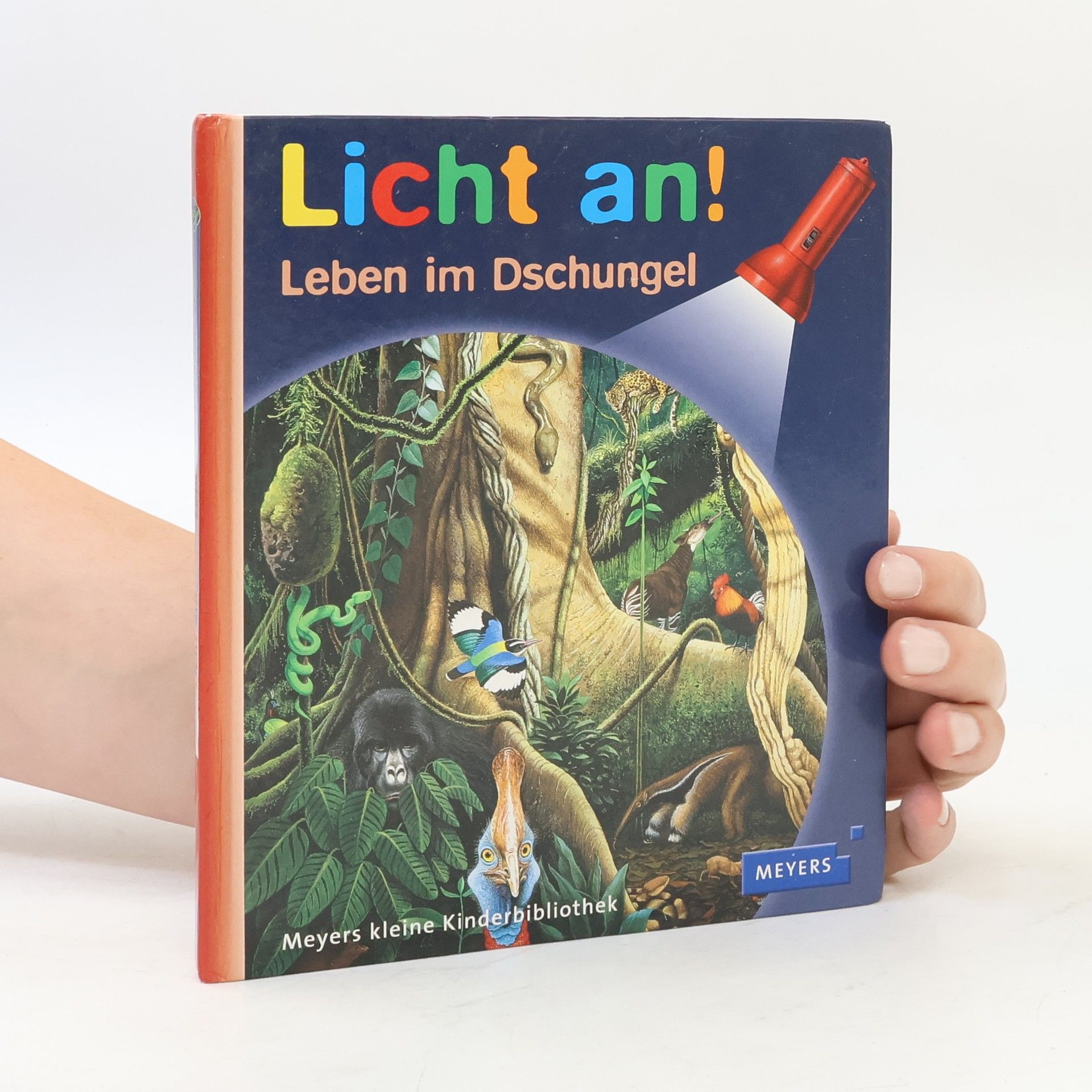 Autorenkollektiv Licht an! Leben im Dschungel
