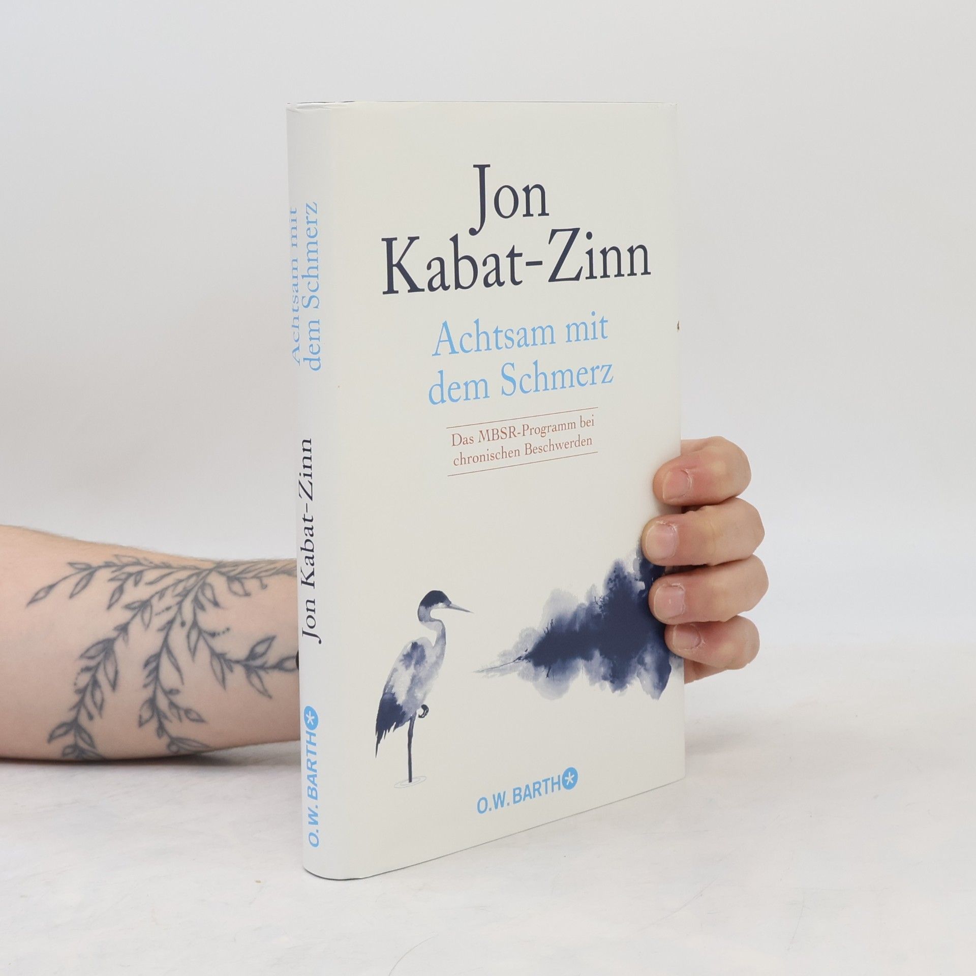 Jon Kabat-Zinn Achtsam mit dem Schmerz