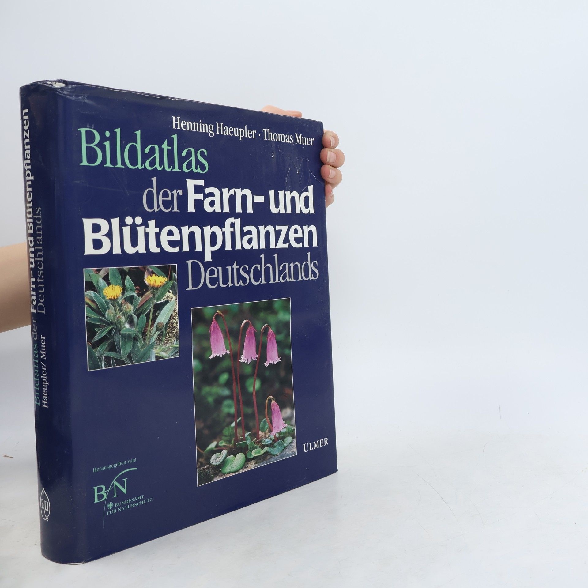 Henning Haeupler Bildatlas der Farn- und Blütenpflanzen Deutschlands