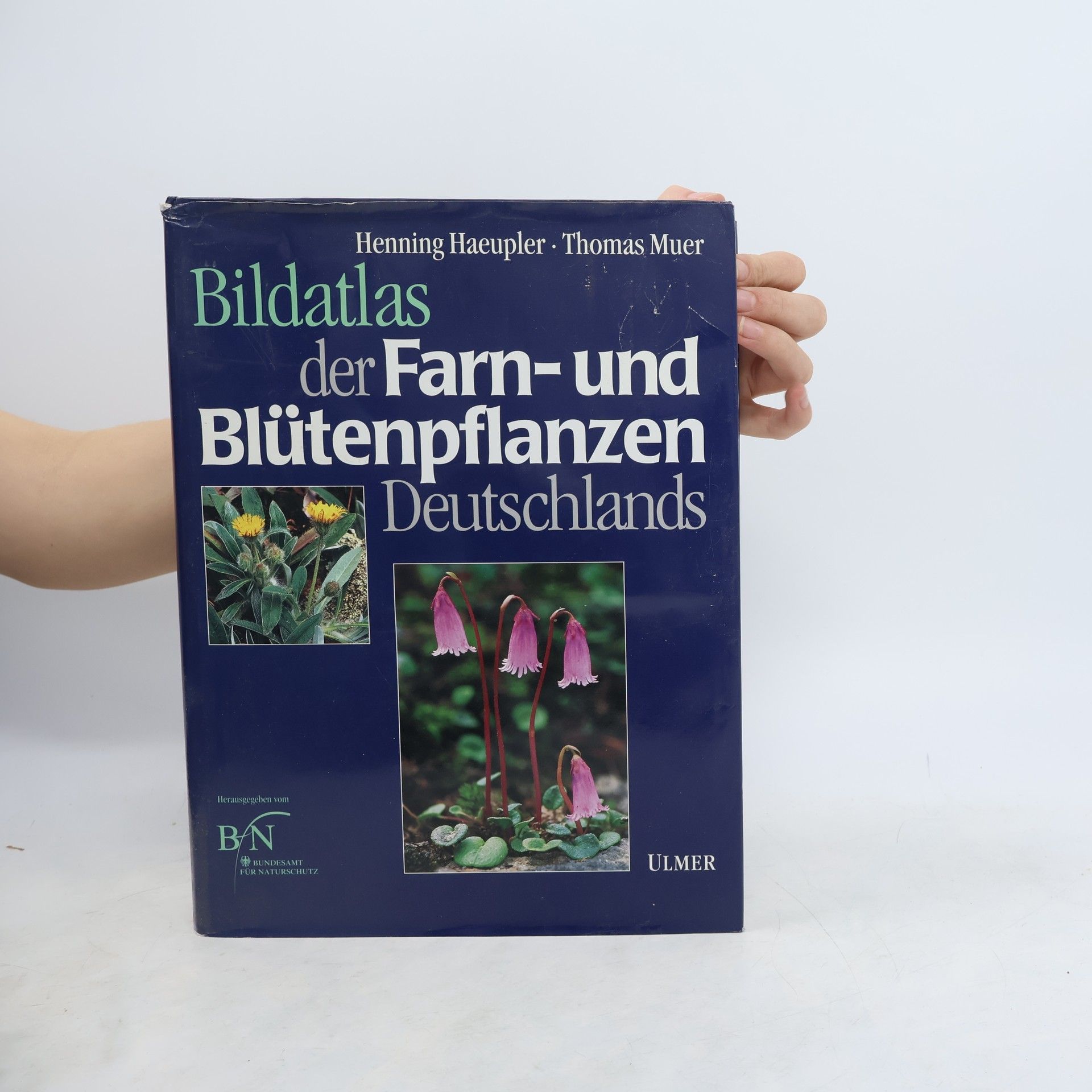 Henning Haeupler Bildatlas der Farn- und Blütenpflanzen Deutschlands
