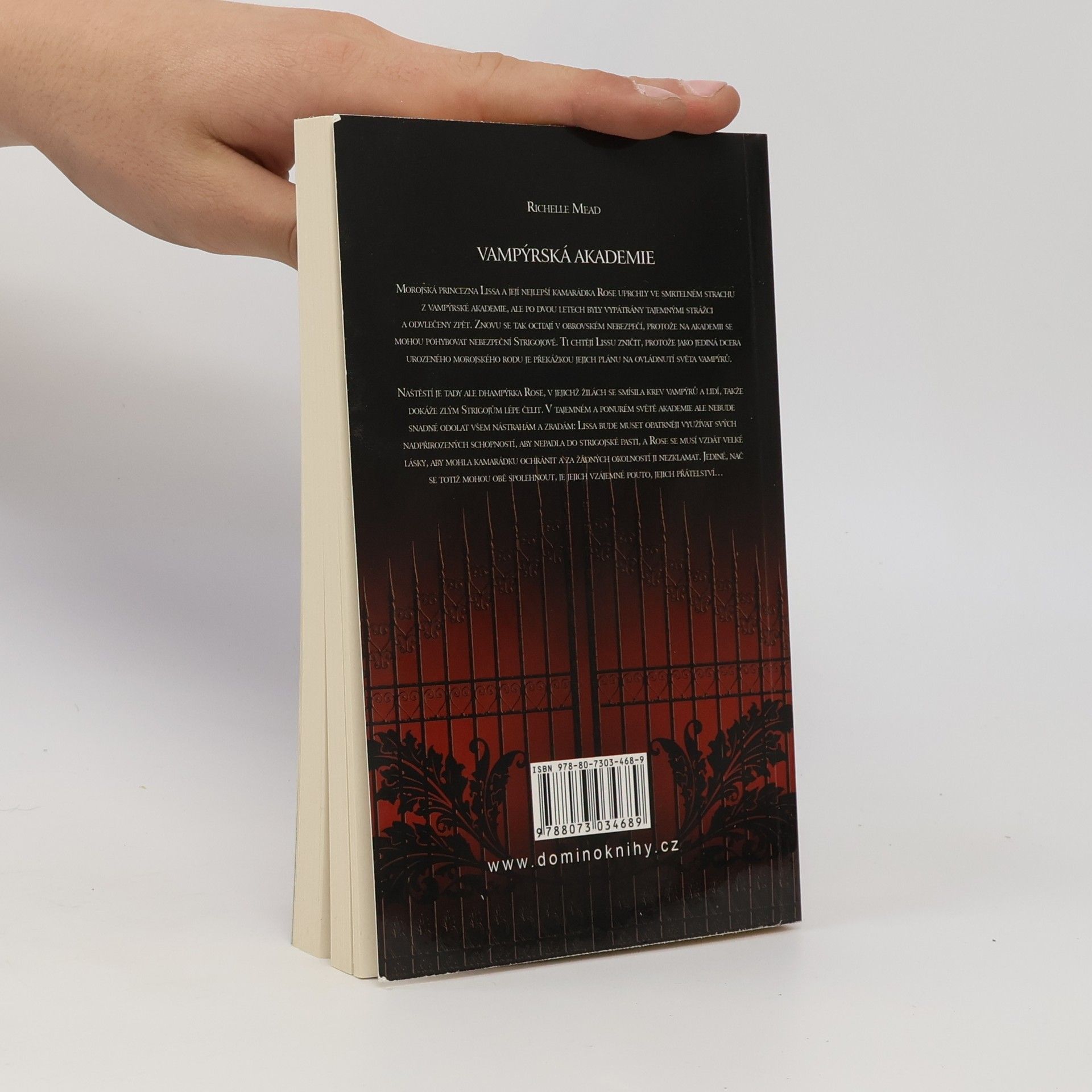 Richelle Mead Vampýrská akademie
