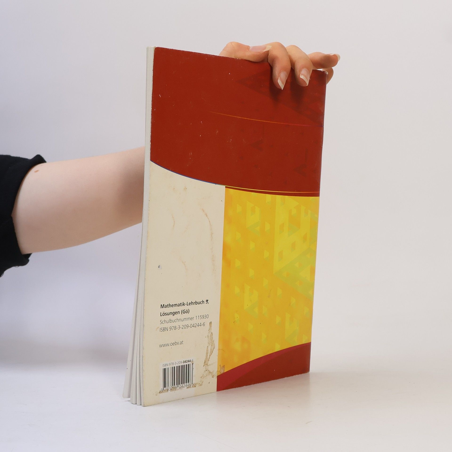 Autorenkollektiv Mathematik 5. Lehrbuch. Lösungen