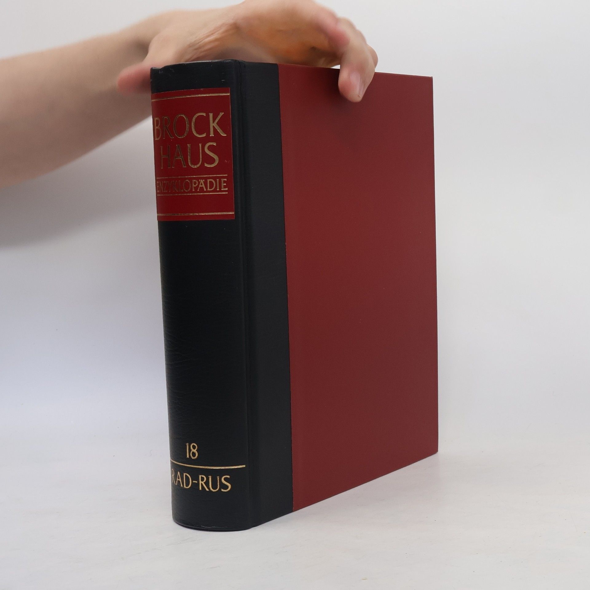 Collectif d'auteurs Brockhaus Enzyklopädie 18