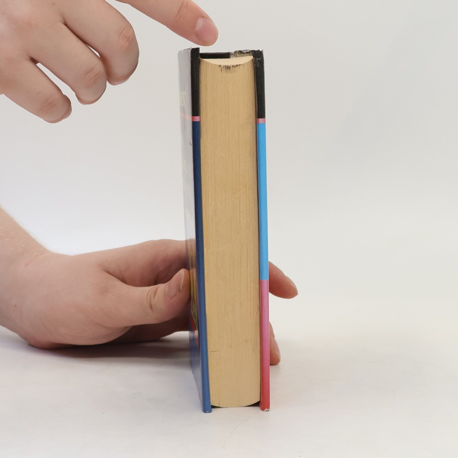 Autorenkollektiv Junior Thesaurus and Phrasefinder