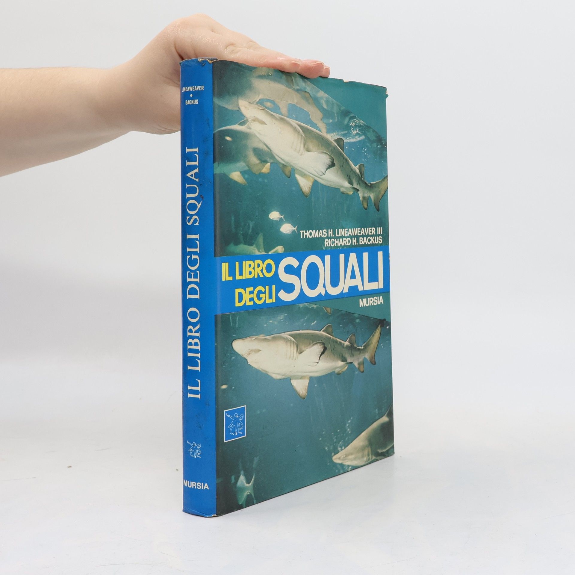 Collectif d'auteurs  Il libro degli squali