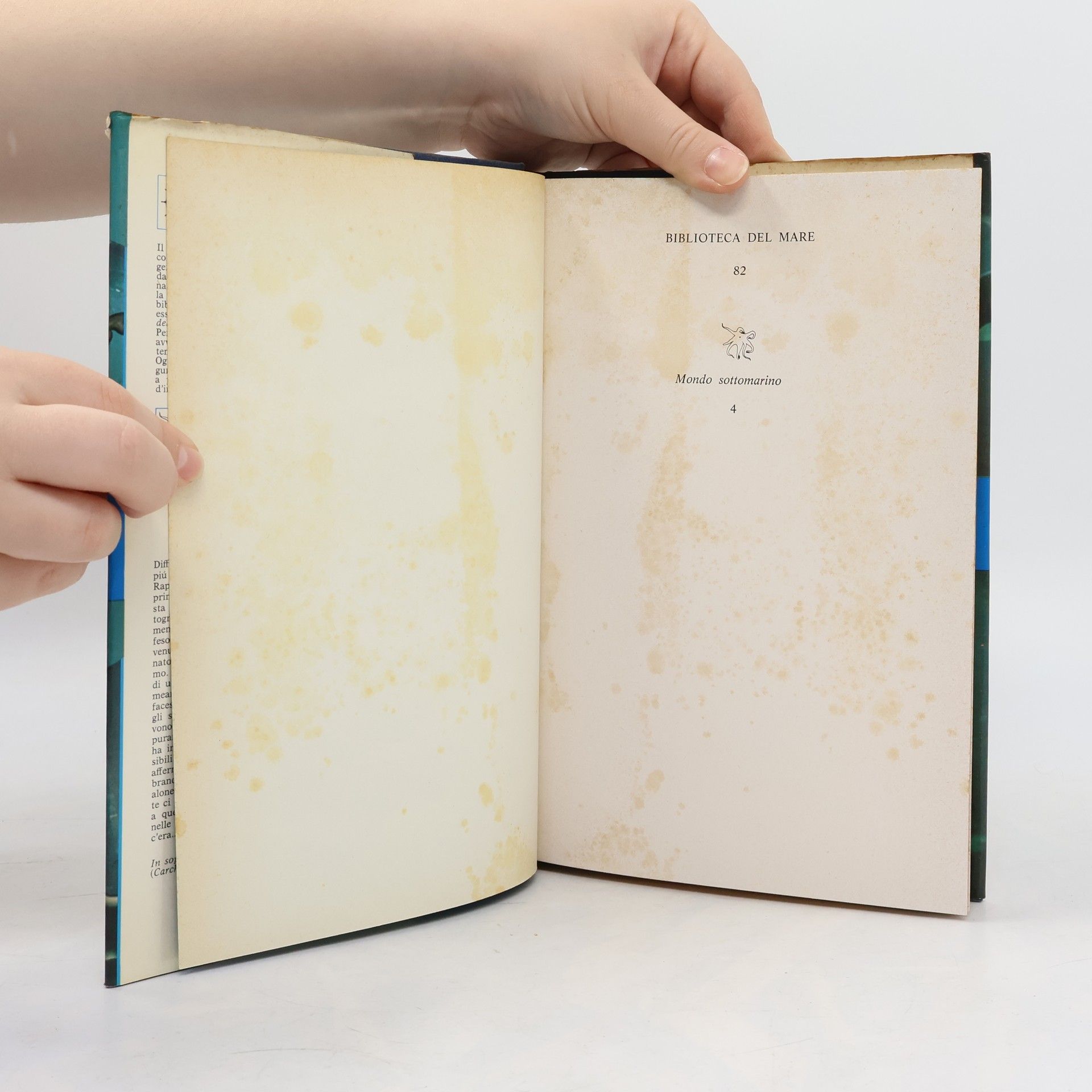 Collectif d'auteurs Il libro degli squali