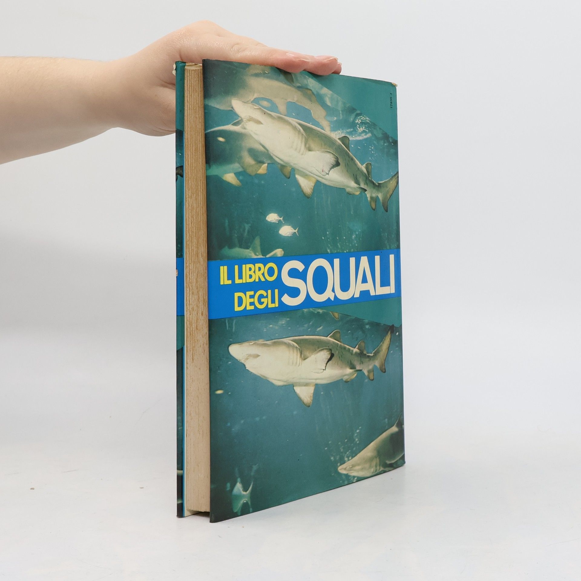 Collectif d'auteurs Il libro degli squali