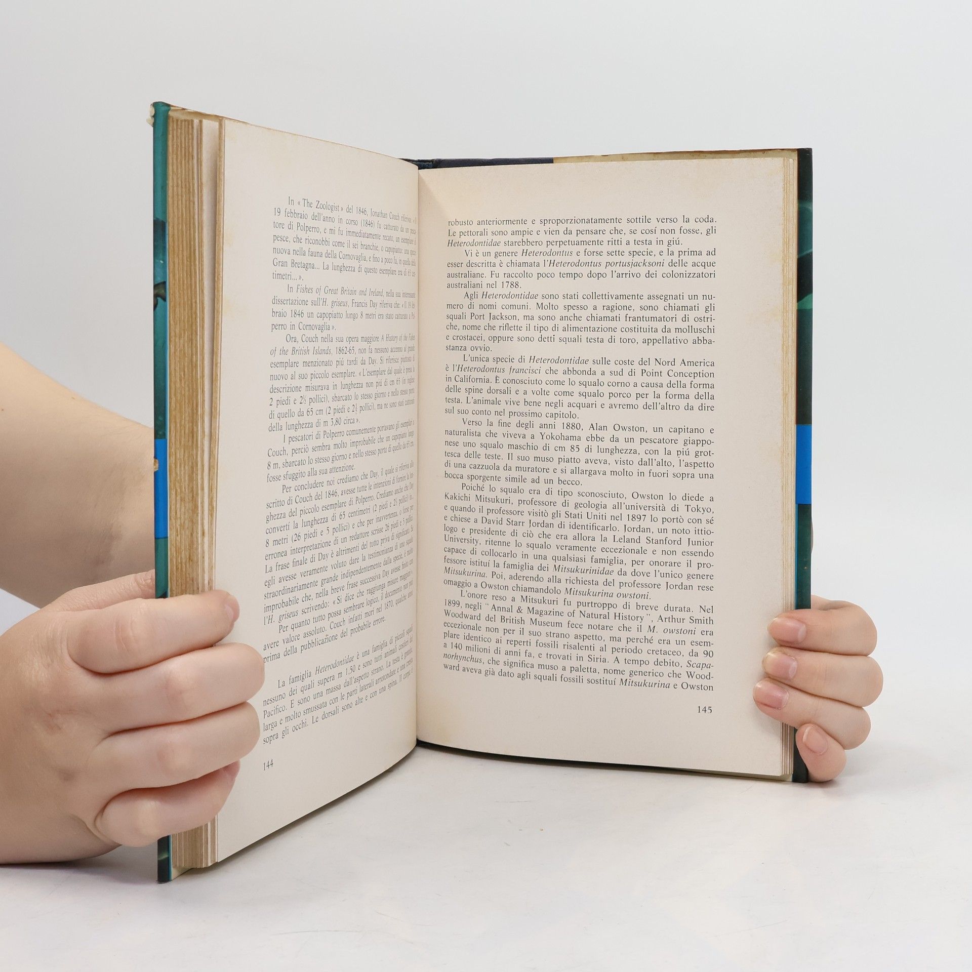Collectif d'auteurs Il libro degli squali