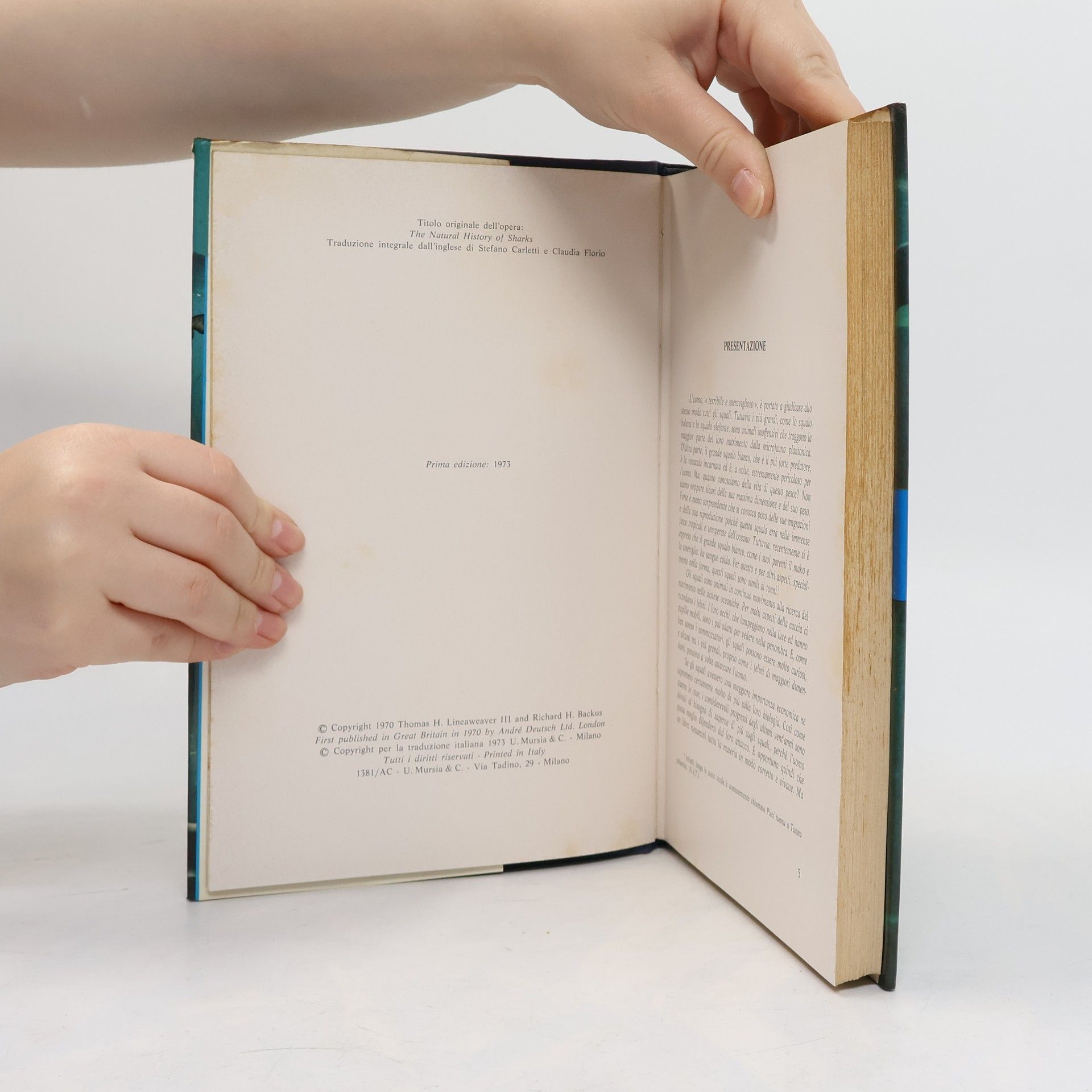 Collectif d'auteurs Il libro degli squali