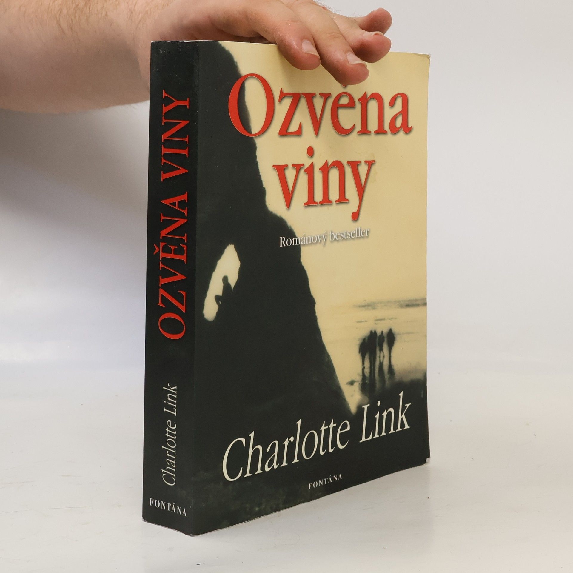 Charlotte Link Ozvěna viny