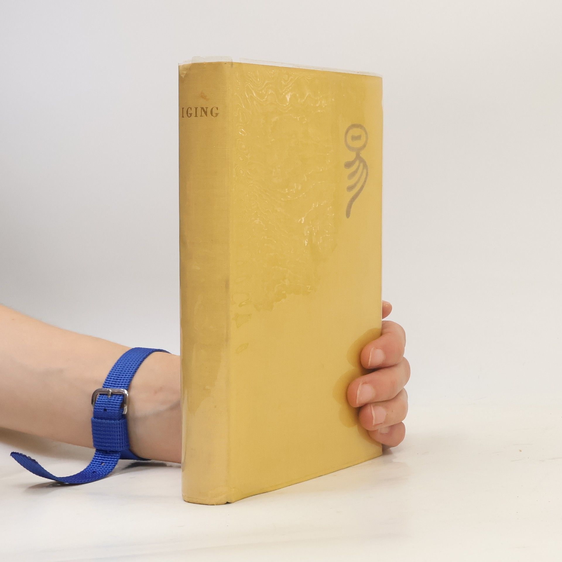Autorenkollektiv Iging: Das Buch der Wandlungen