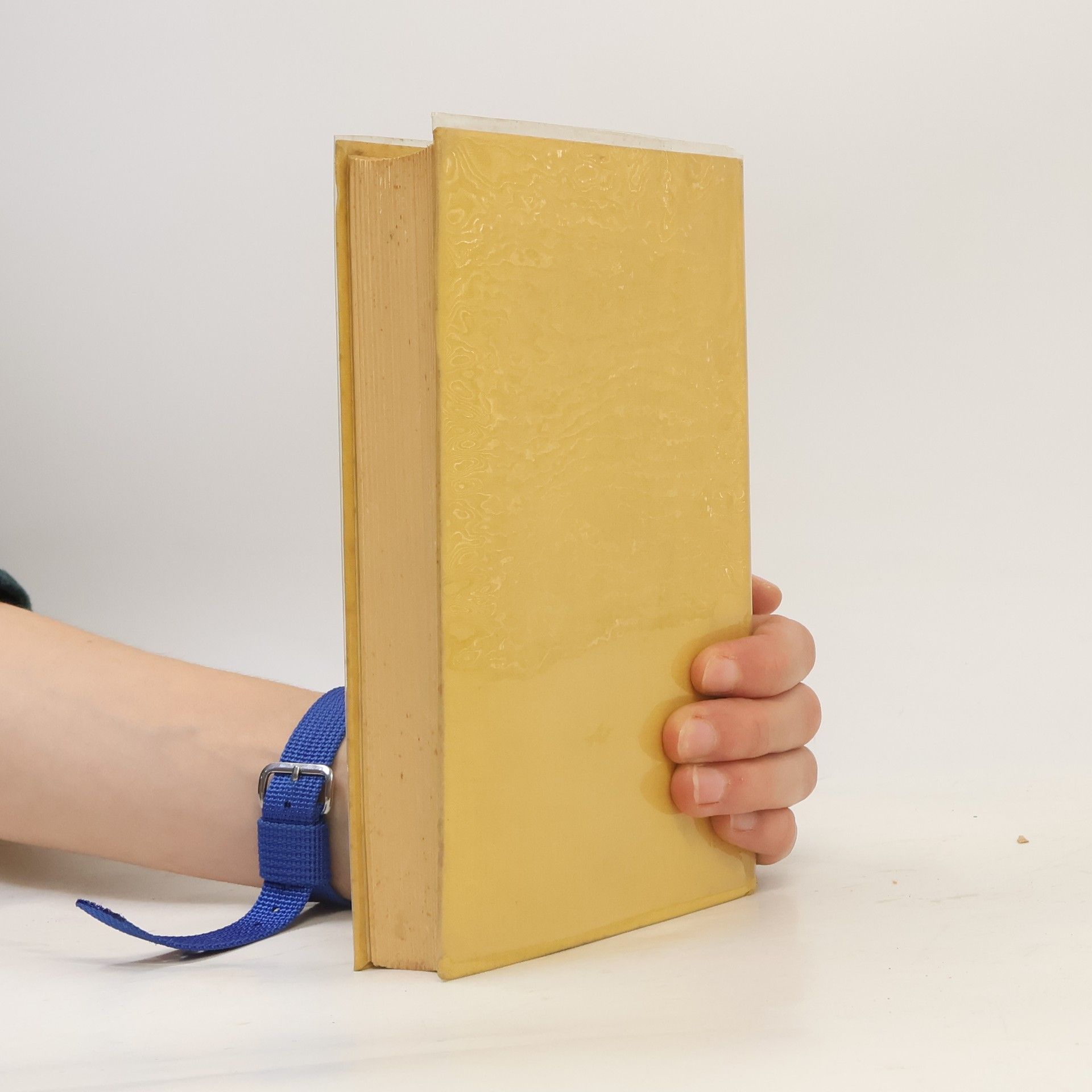 Autorenkollektiv Iging: Das Buch der Wandlungen