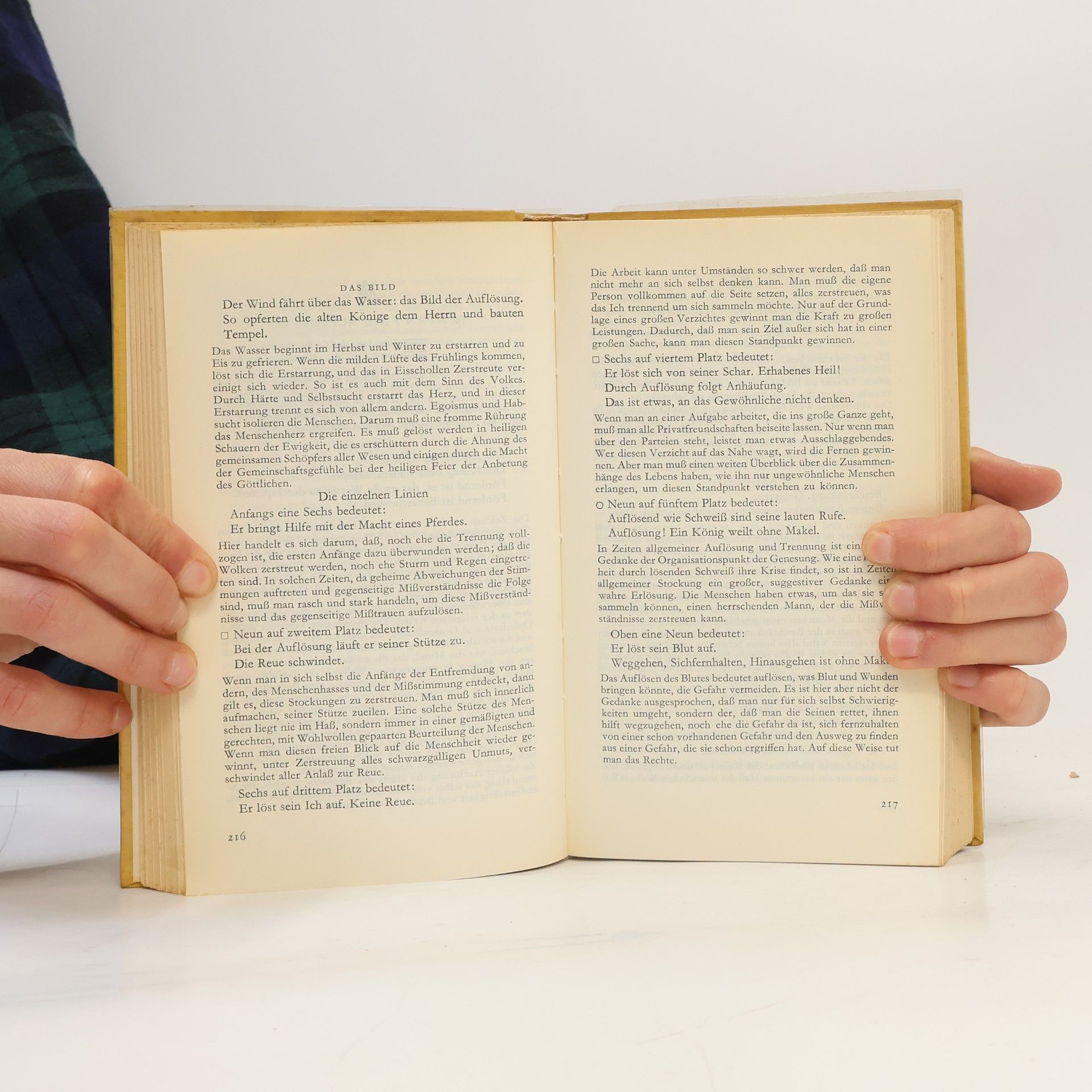Autorenkollektiv Iging: Das Buch der Wandlungen