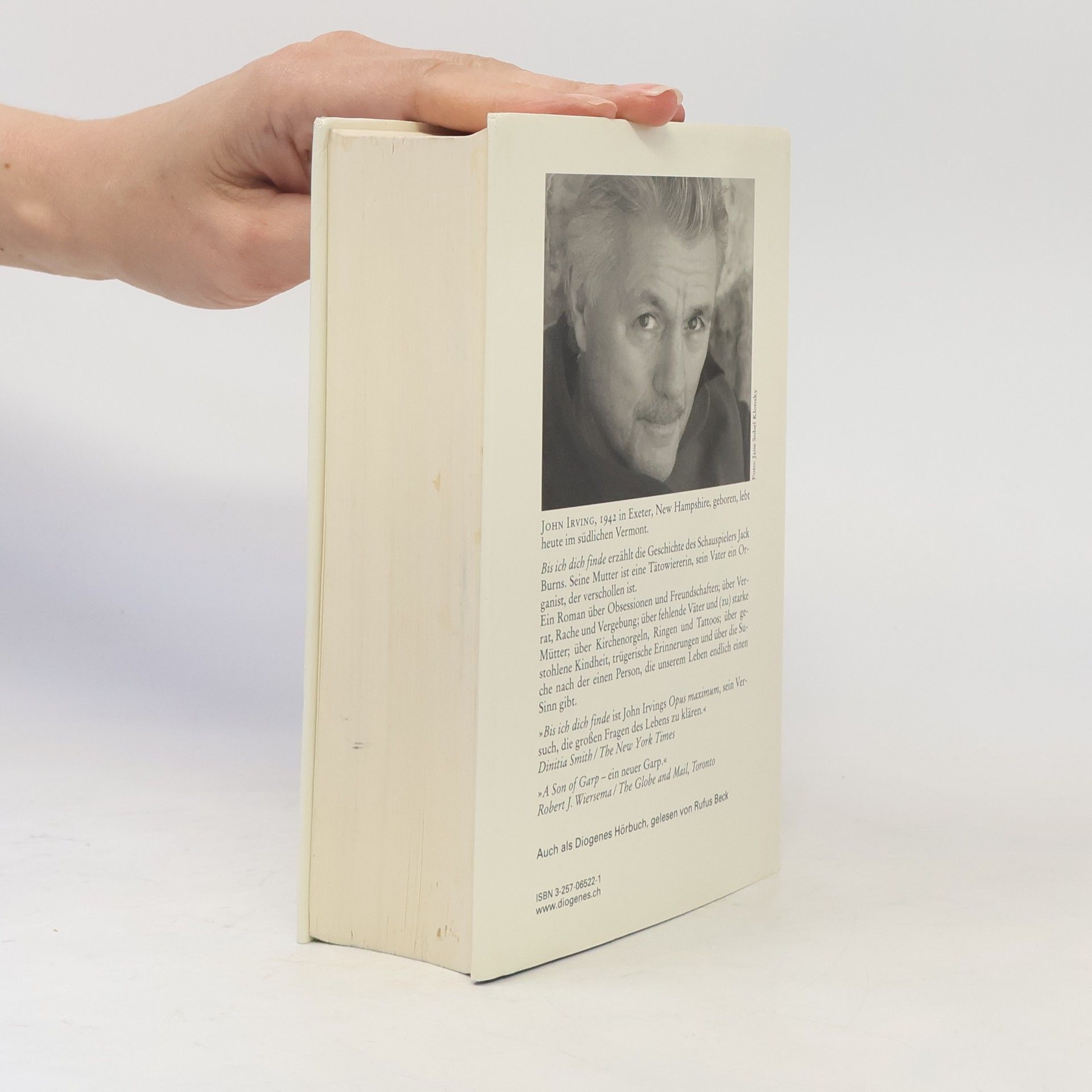 John Irving Bis ich dich finde