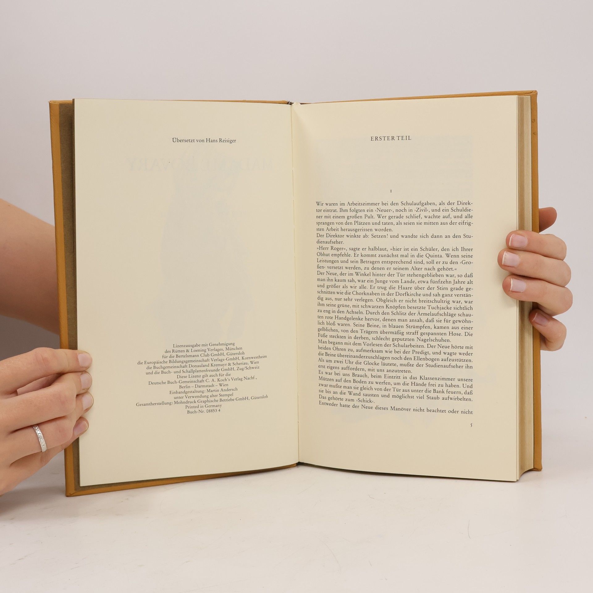 Gustave Flaubert Madame Bovary