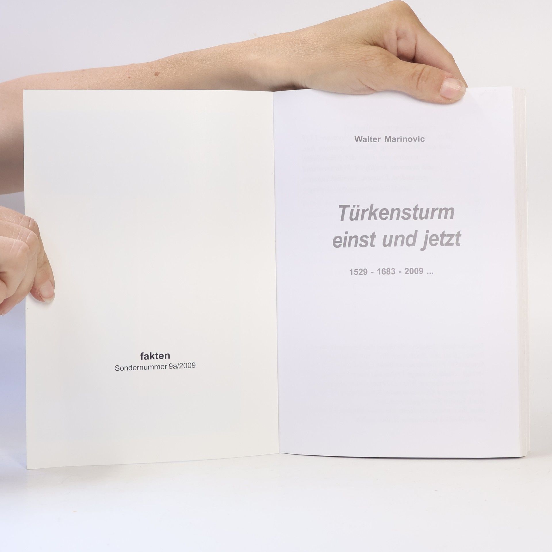 Walter Marinovic Türkenstrum einst und jetzt