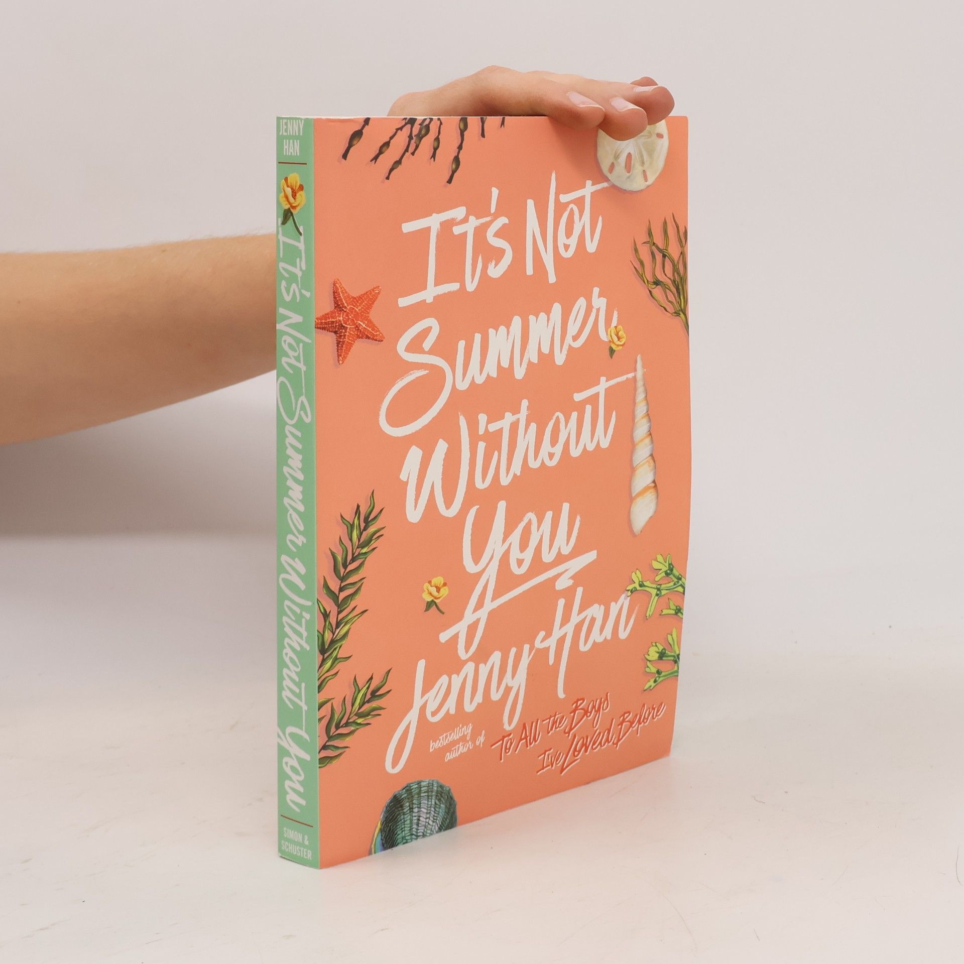Jenny Han It's Not Summer Without You