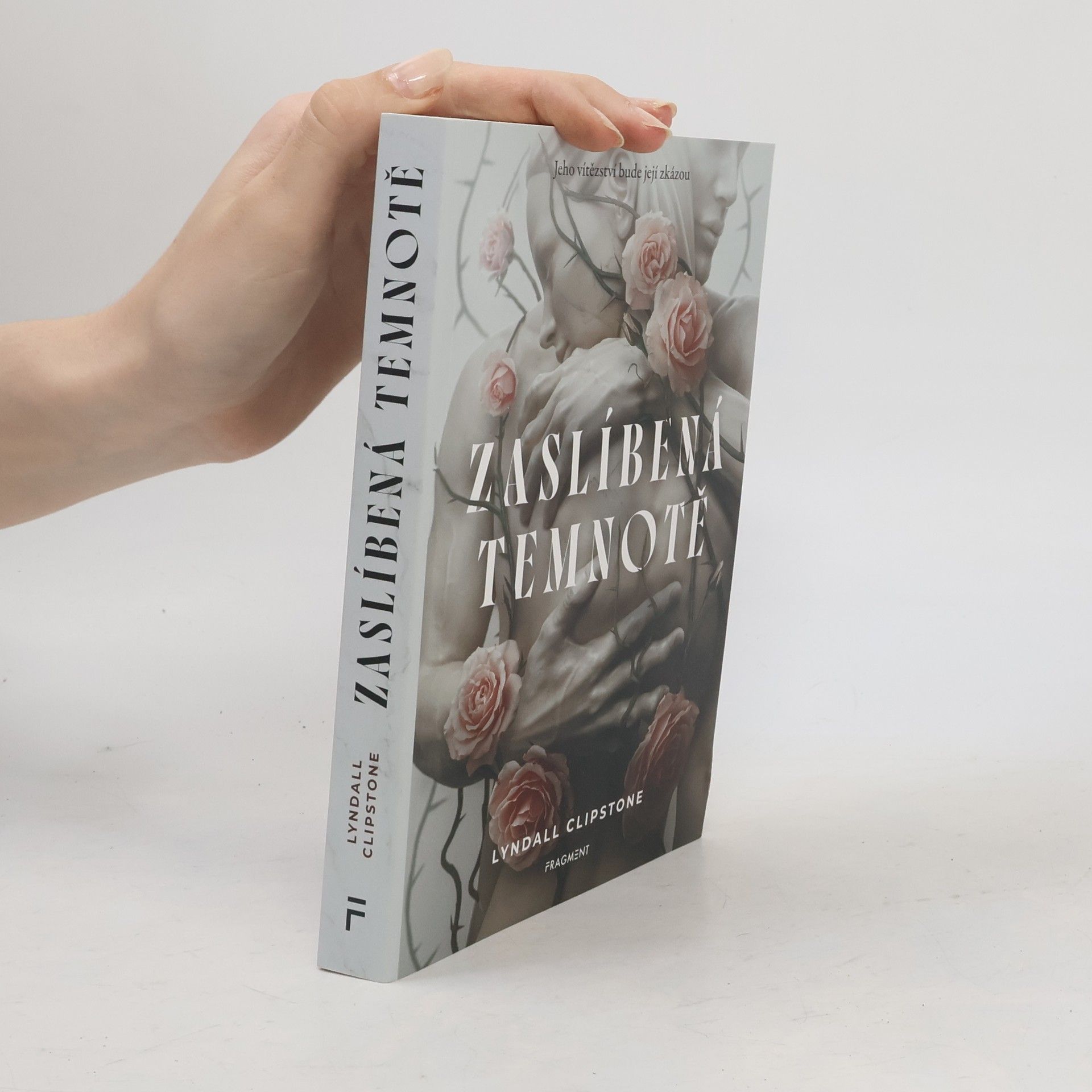 Lyndall Clipstone Zaslíbená temnotě