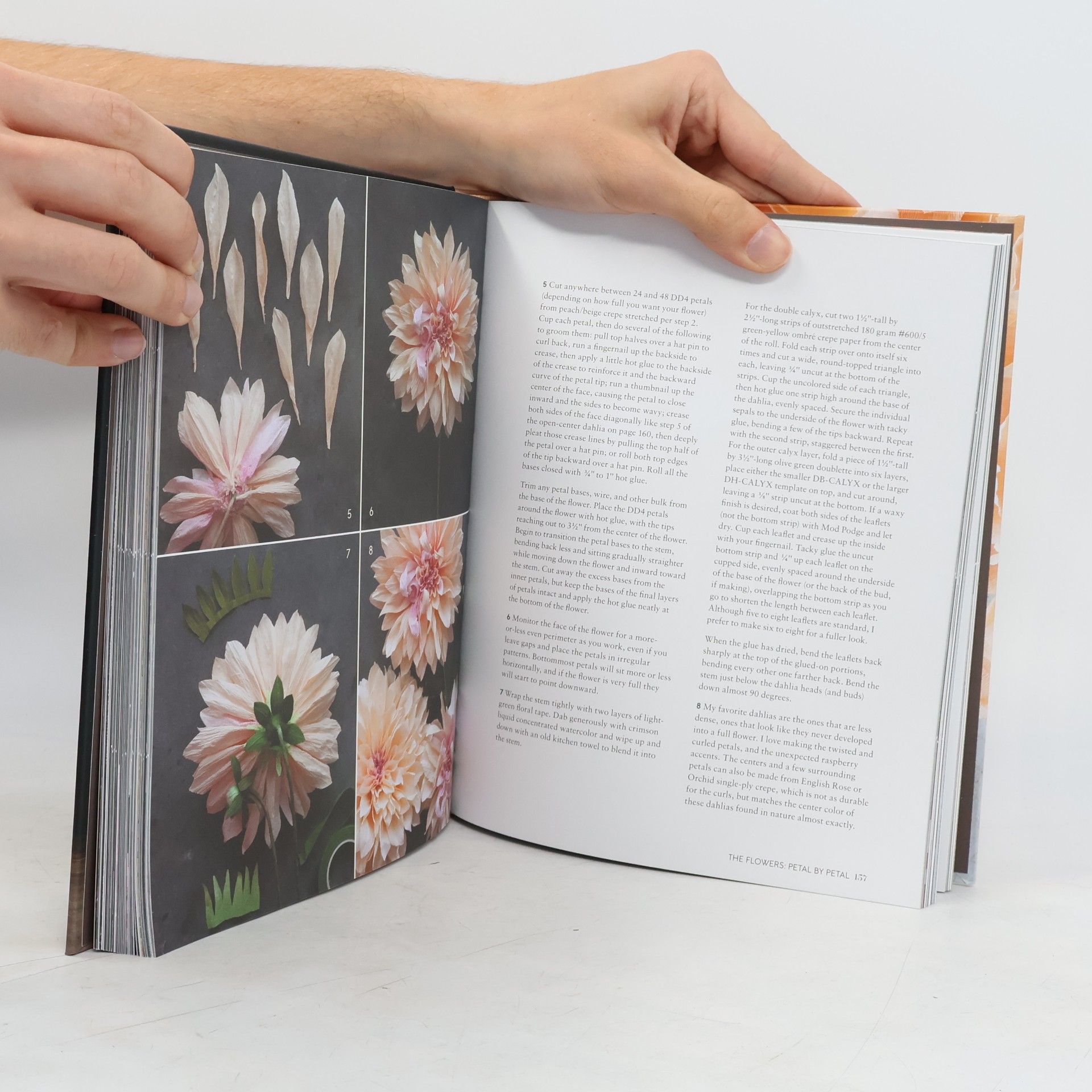 Tiffanie Turner The Fine Art Of Paper Flowers