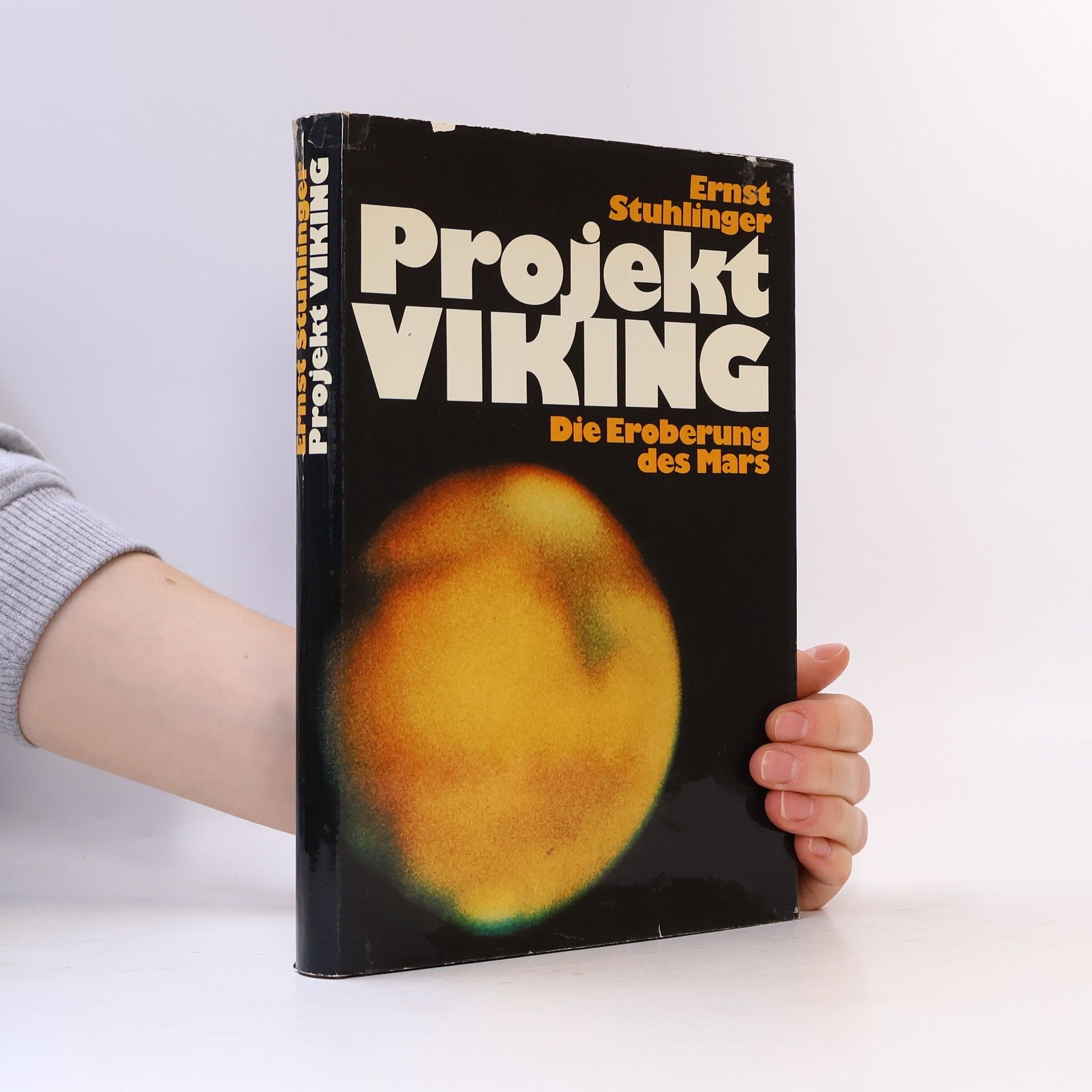 Projekt Viking