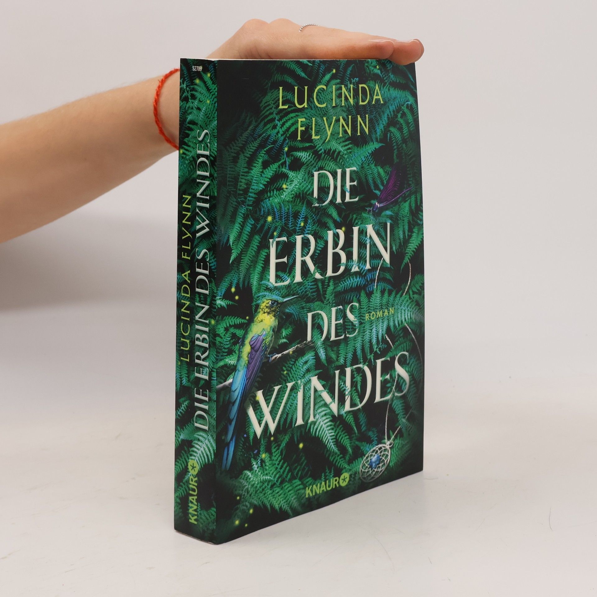 Lucinda Flynn Die Erbin des Windes