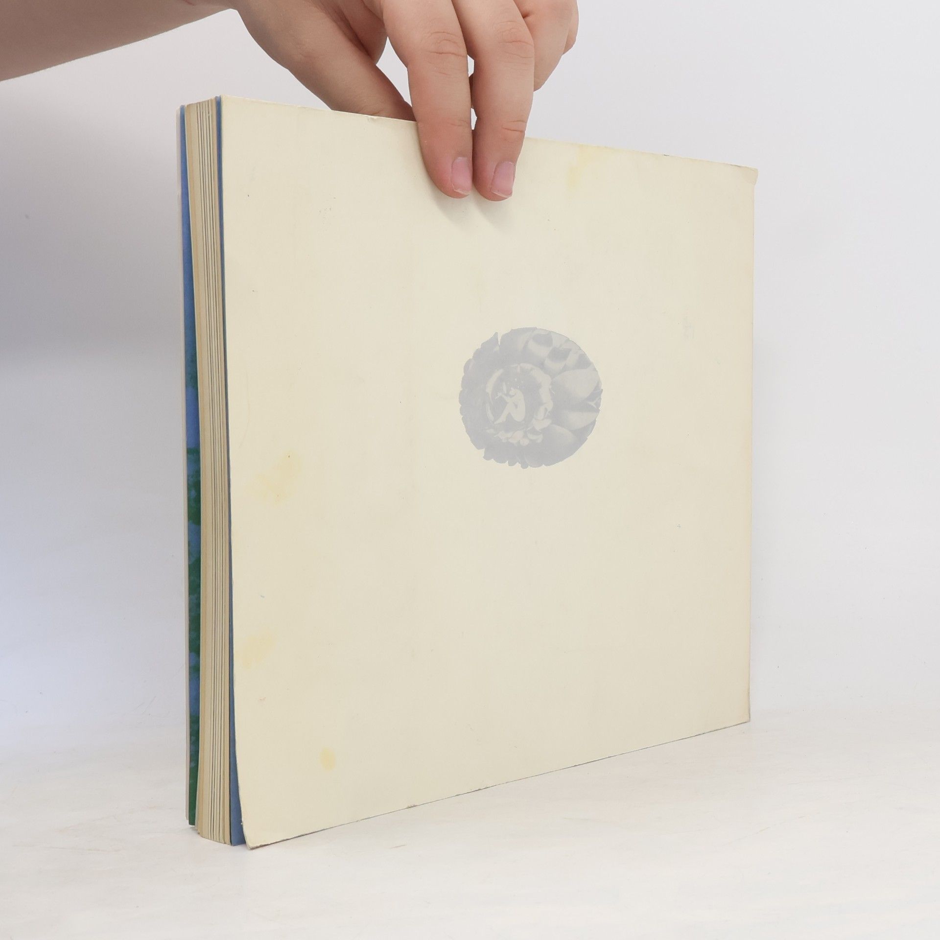 Autorenkollektiv Wiener Schule des Phantastischen Realismus
