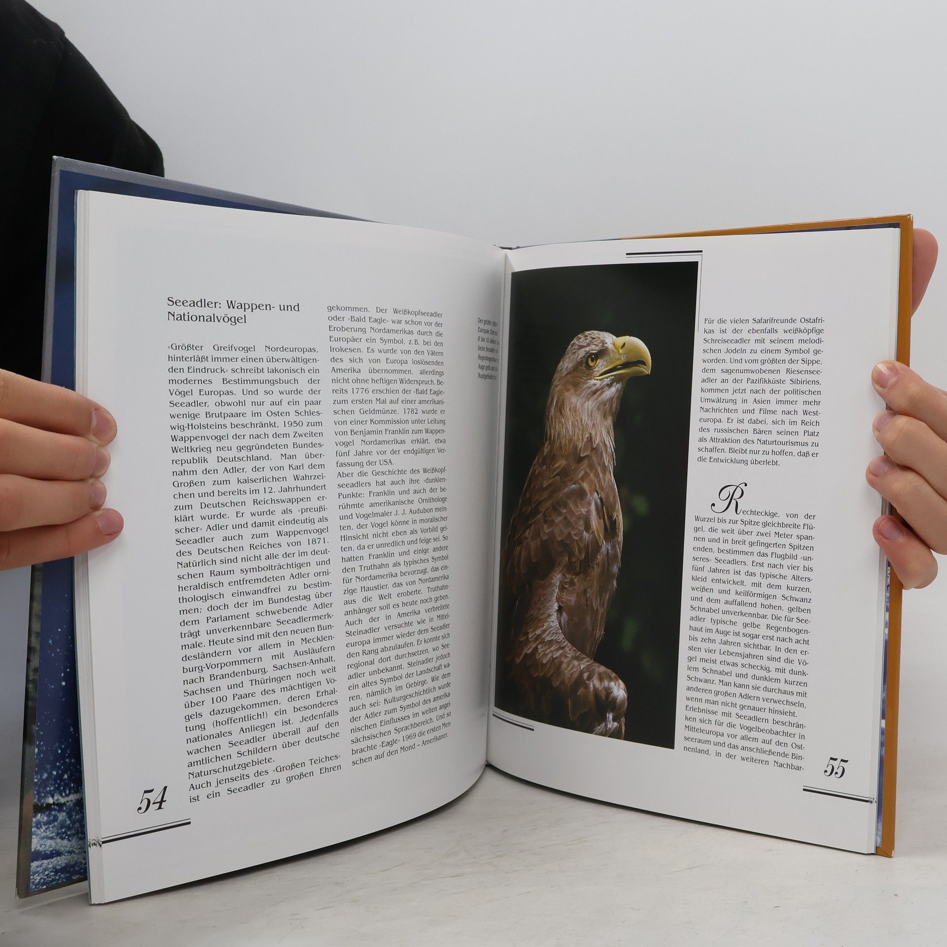 Einhard Bezzel Greifvögel