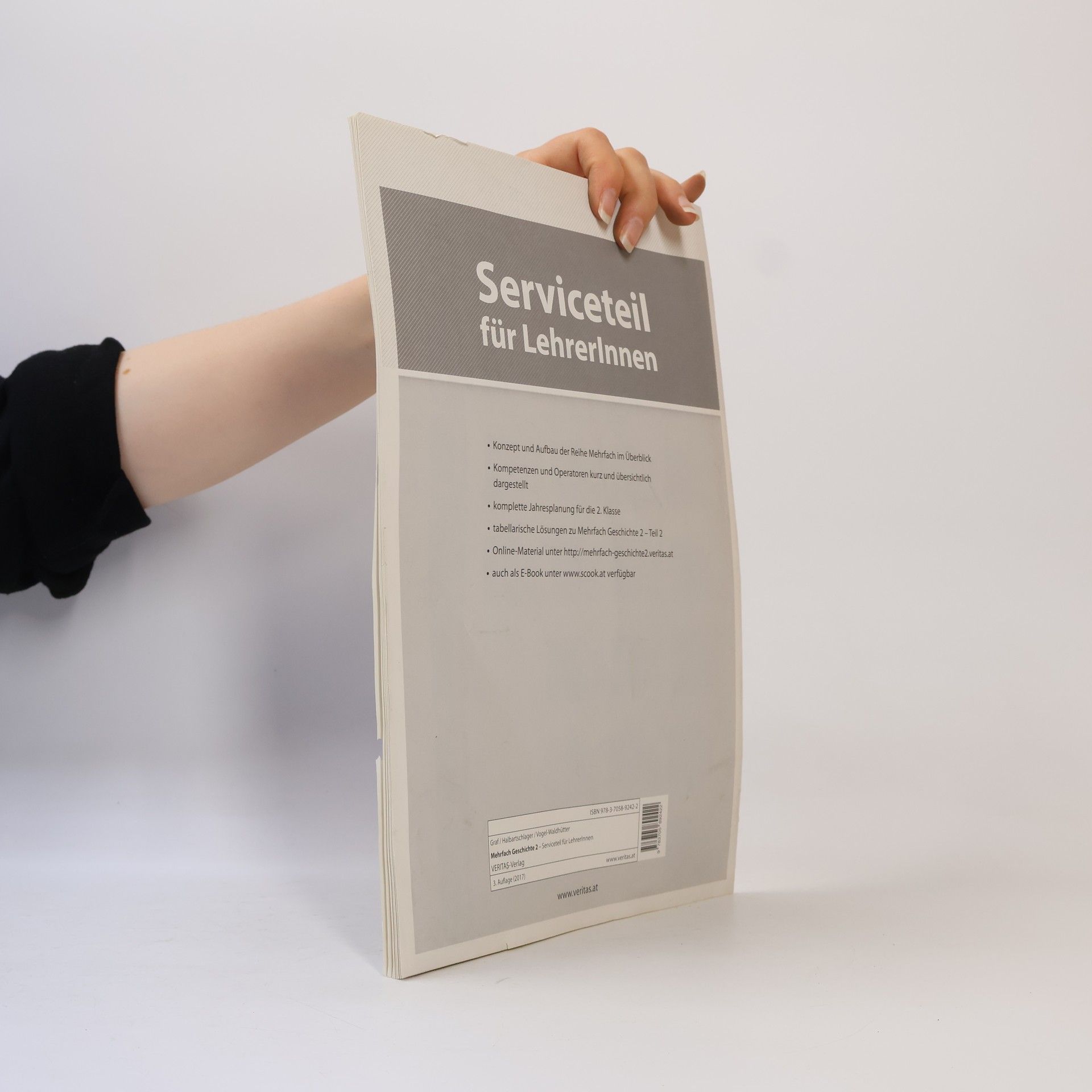 Margot Graf Mehrfach Geschichte - 2: Serviceteil für LehrerInnen