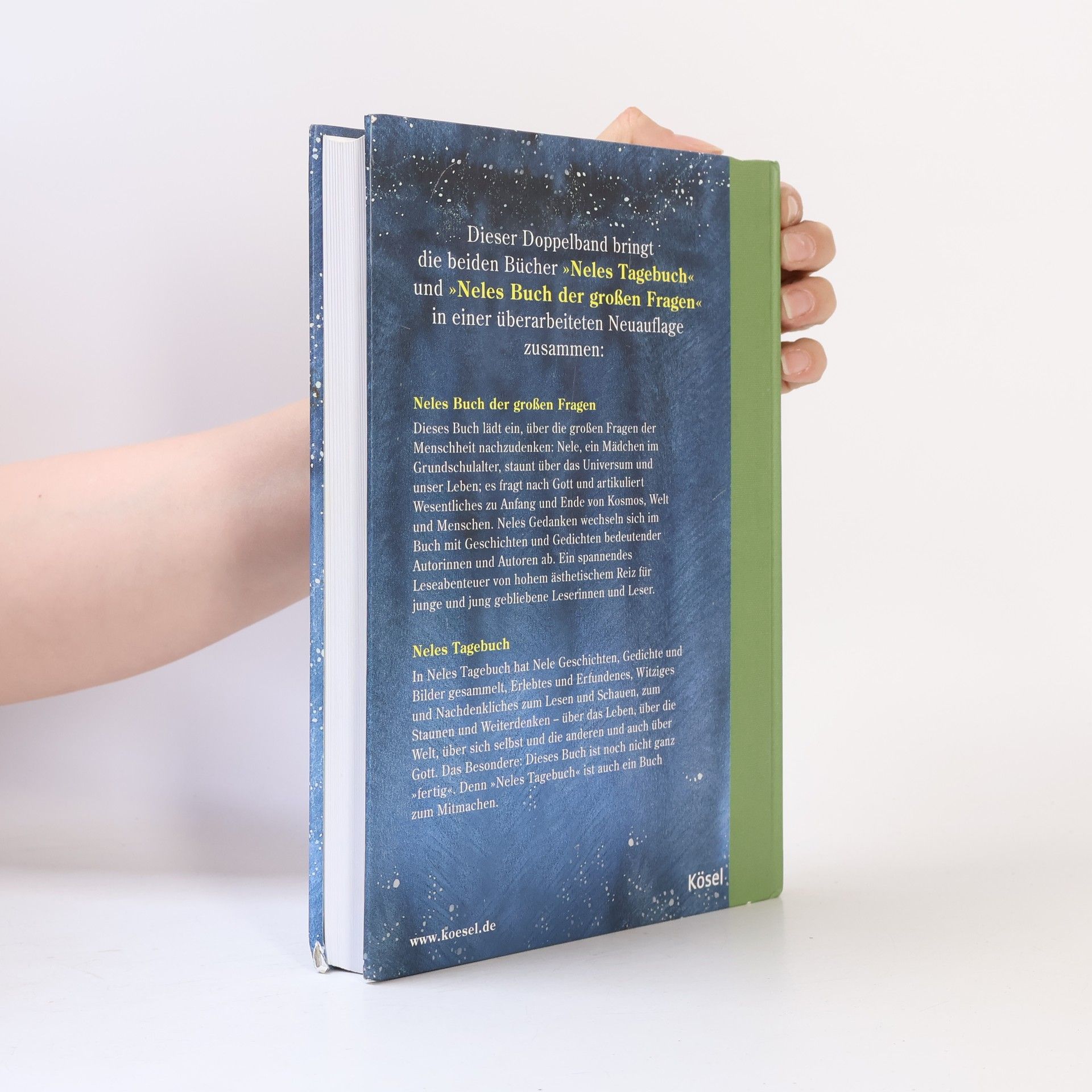 Rainer Oberthür Neles großes Buch