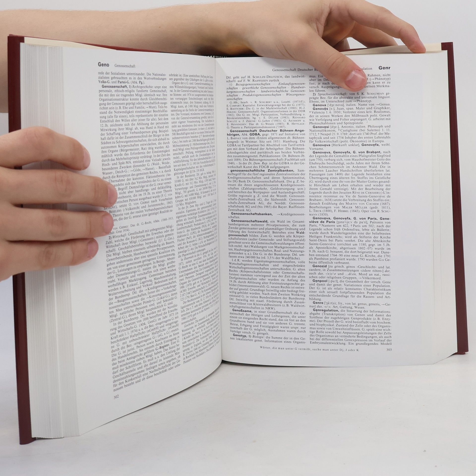 Kolektiv autorů Brockhaus Enzyklopädie 8 (FRU-GOS)