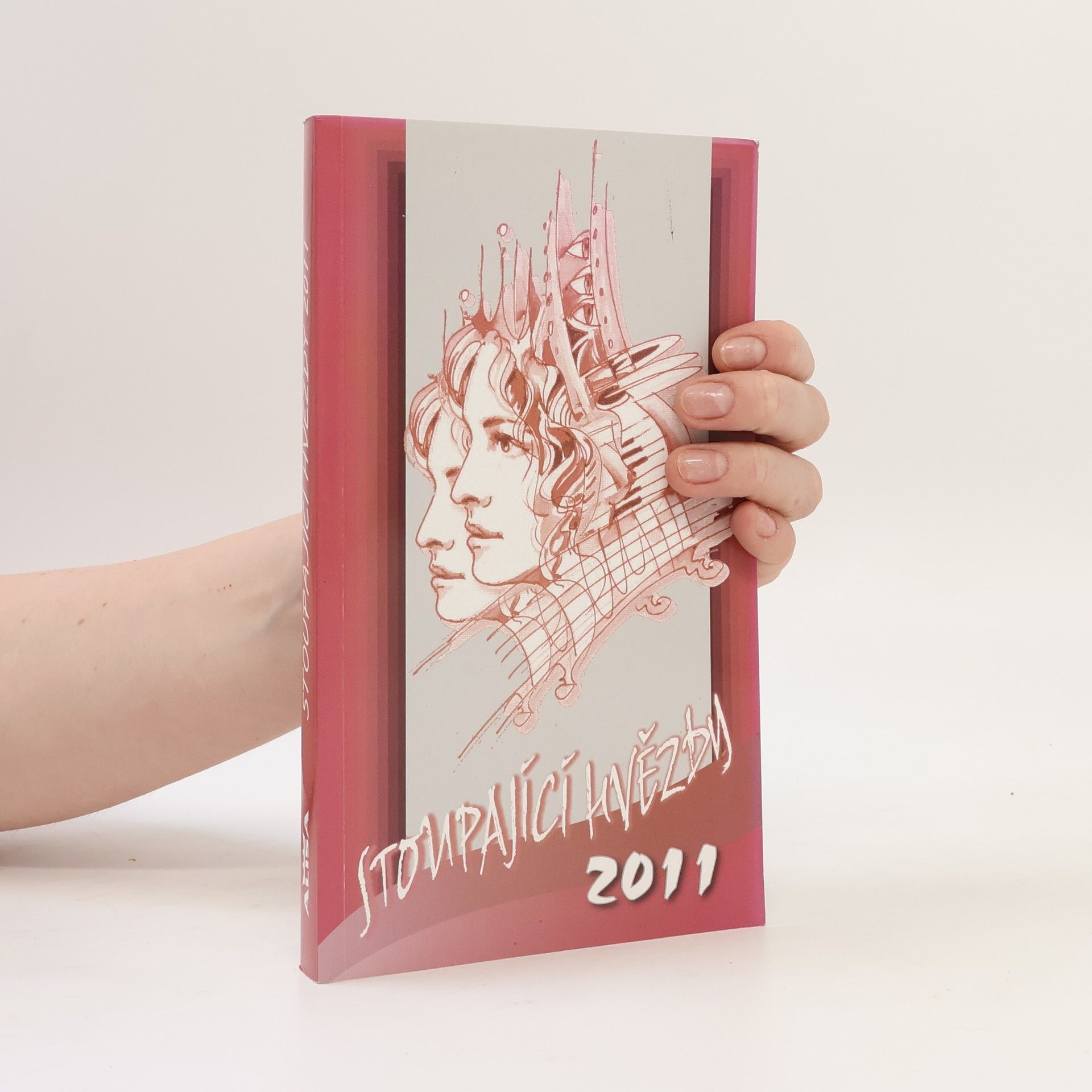 Vladimír Kostiha Stoupající hvězdy 2011