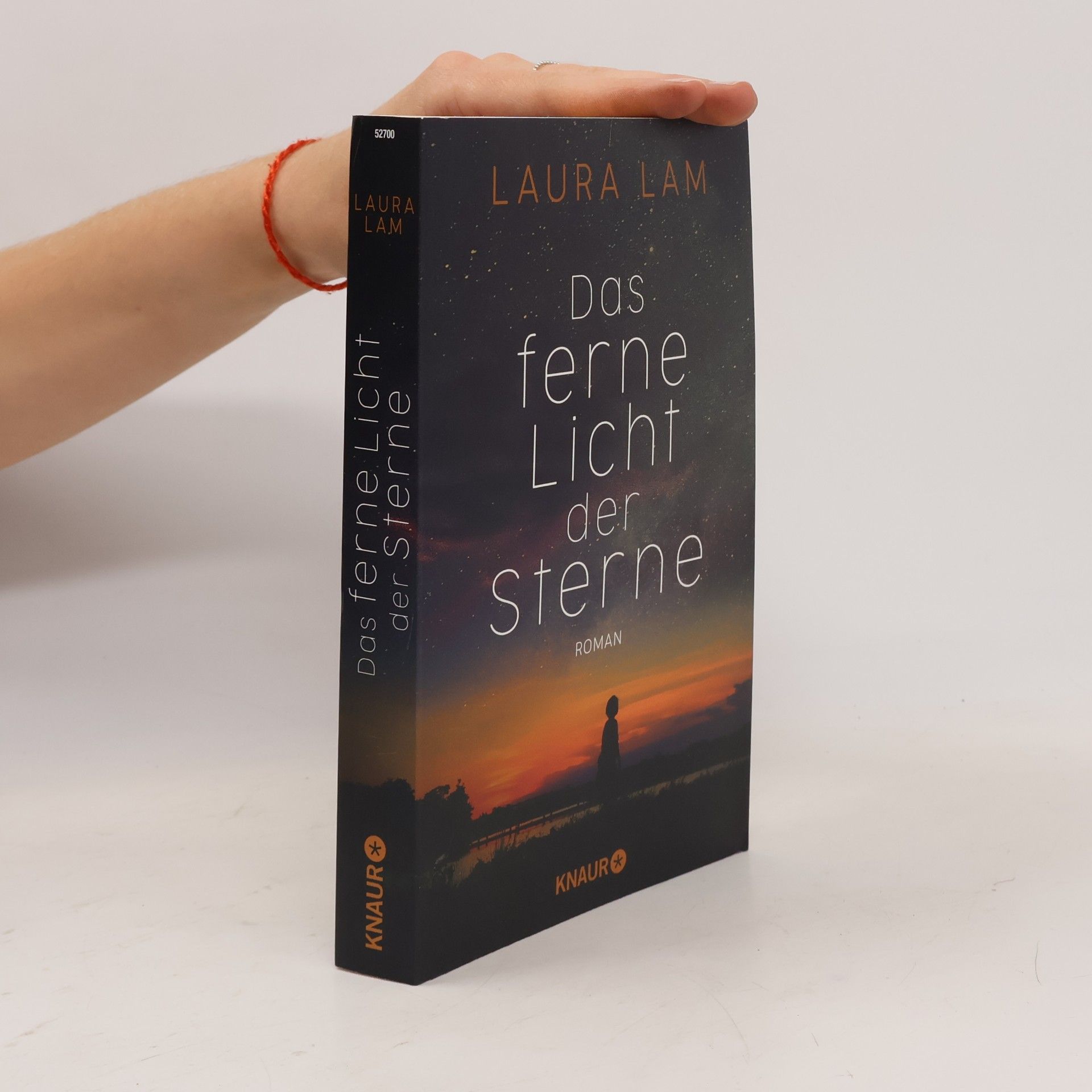 Laura Lam Das ferne Licht der Sterne