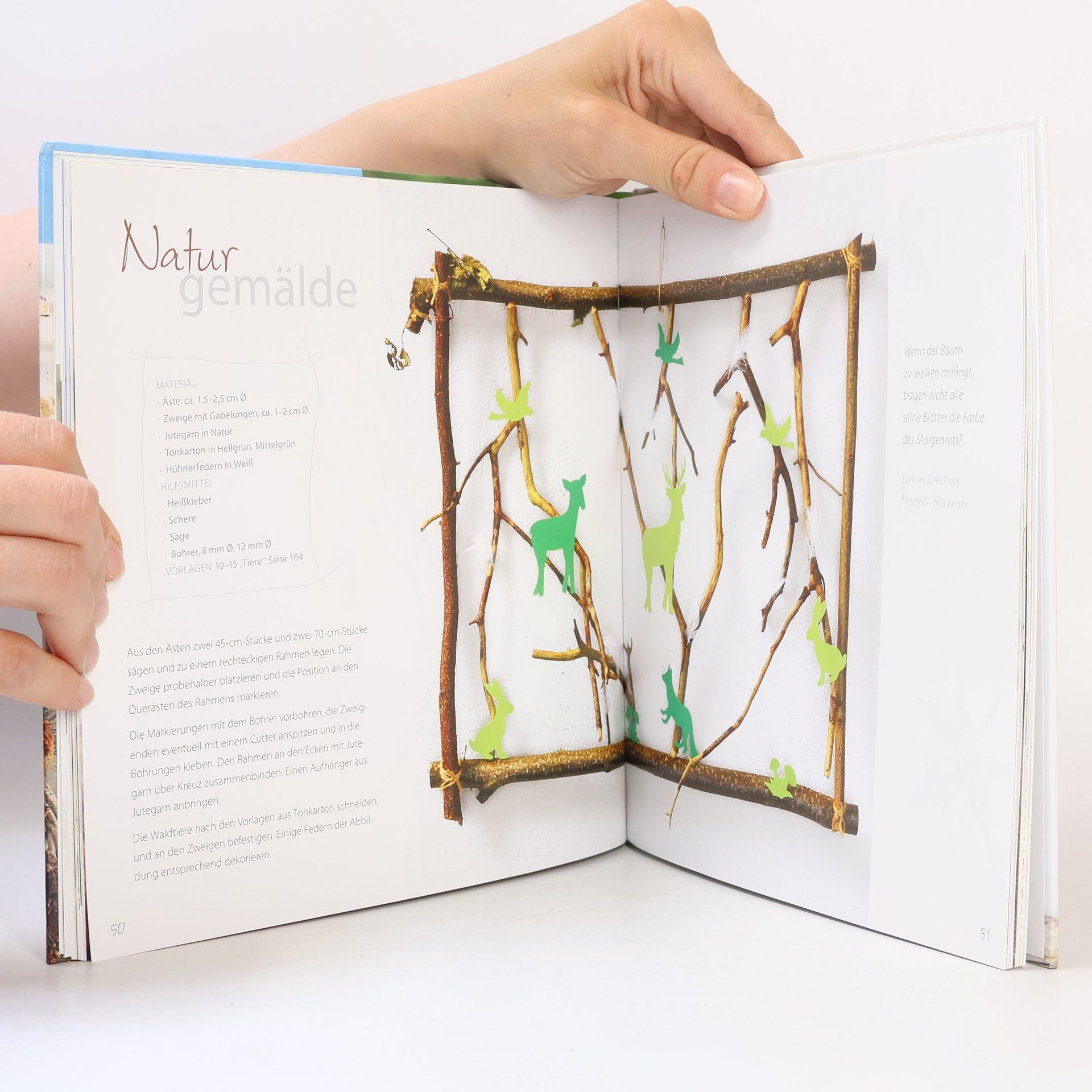 Autorenkollektiv Natur-Deko