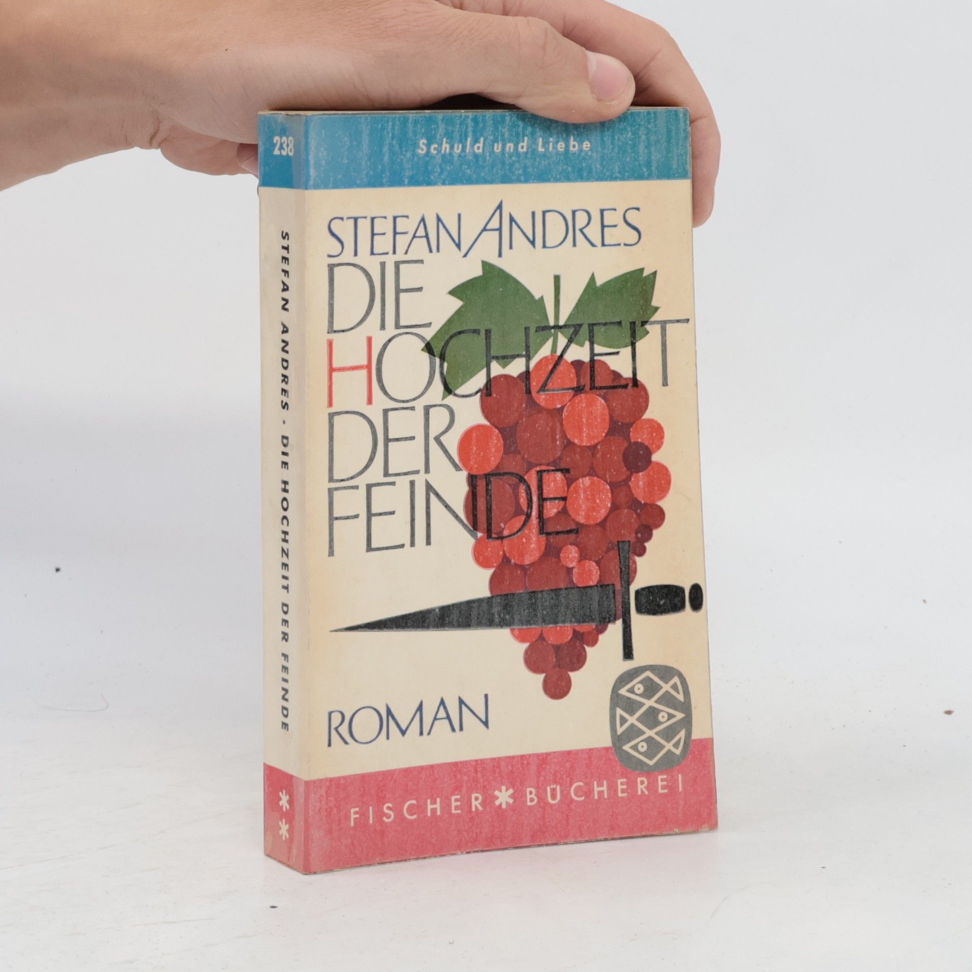 Stefan Andres Die Hochzeit der Feinde