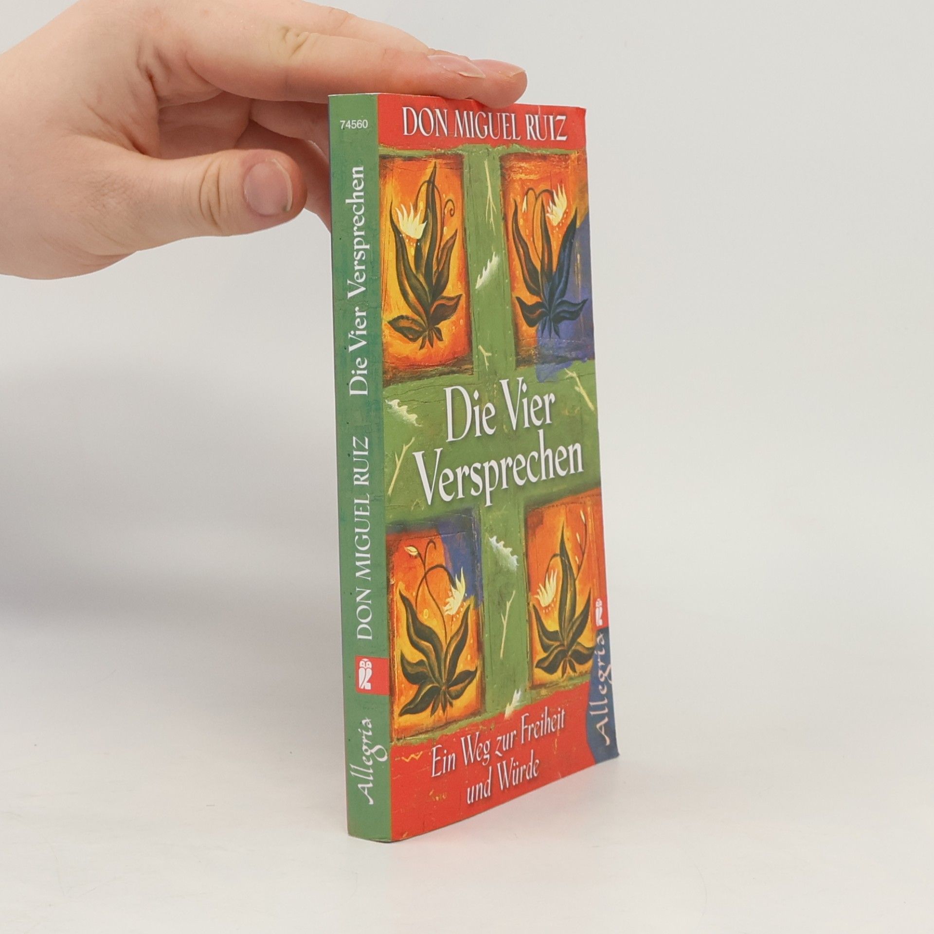 Don Miguel Ruiz Die vier Versprechen