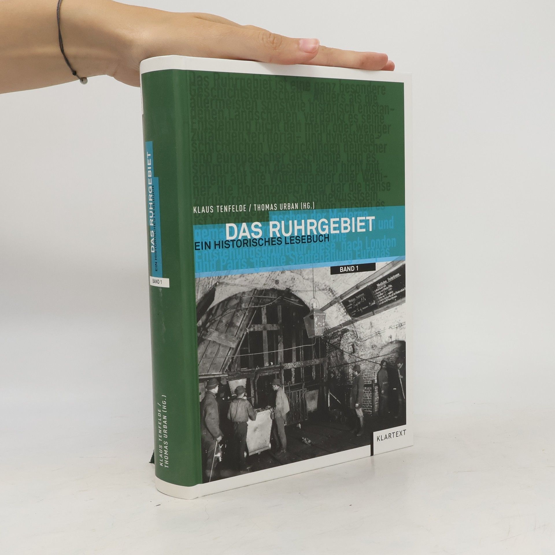 Klaus Tenfelde Das Ruhrgebiet - ein historisches Lesebuch 1-2