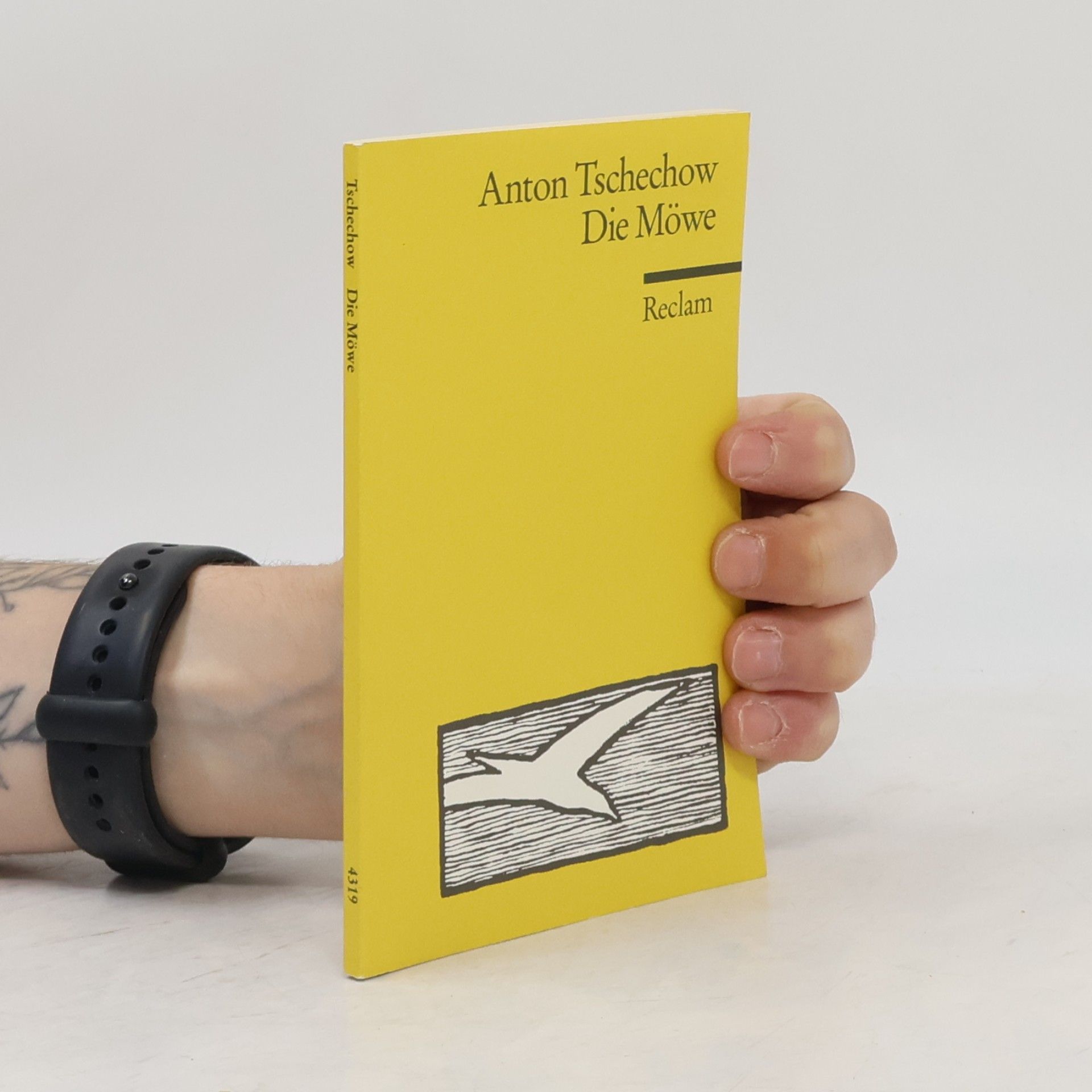 Anton Chekhov Die Möwe