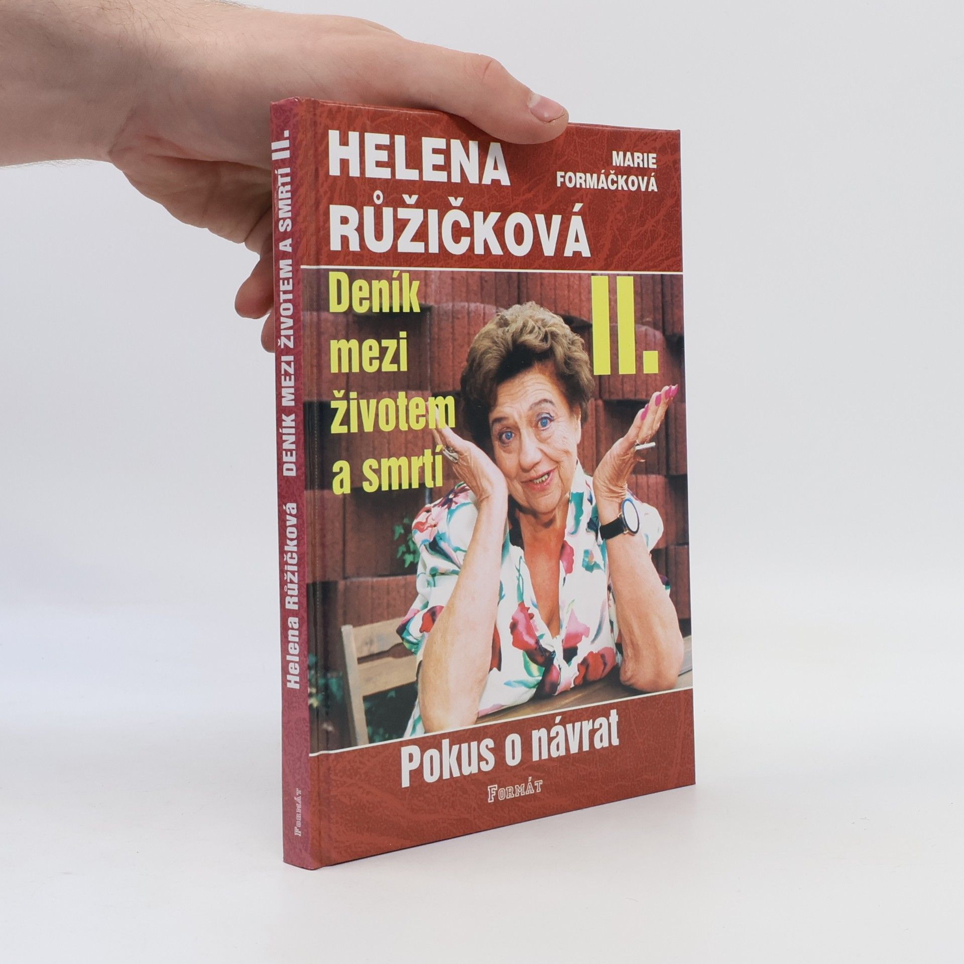 Helena Růžičková Deník mezi životem a smrtí. II., Pokus o návrat