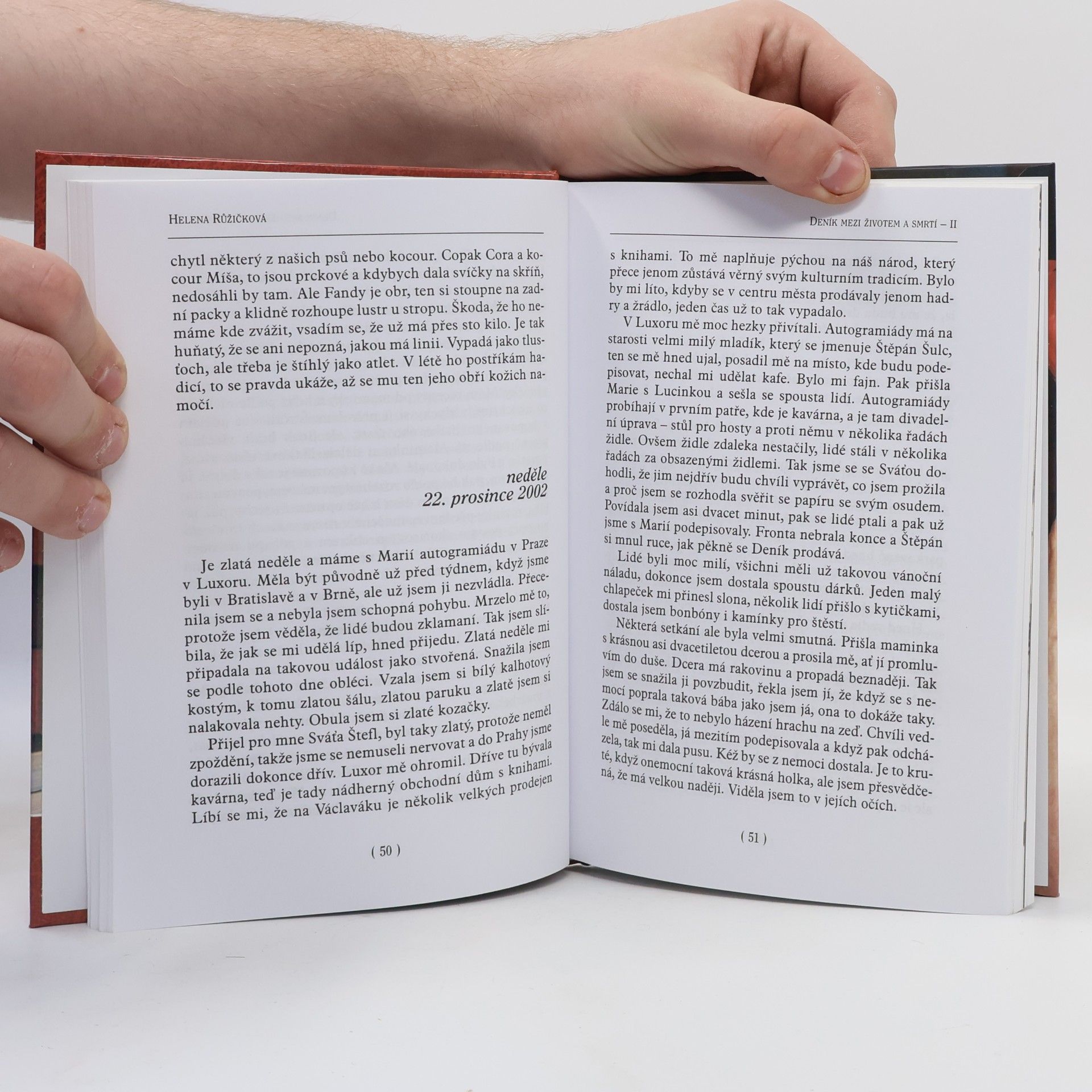 Helena Růžičková Deník mezi životem a smrtí. II., Pokus o návrat