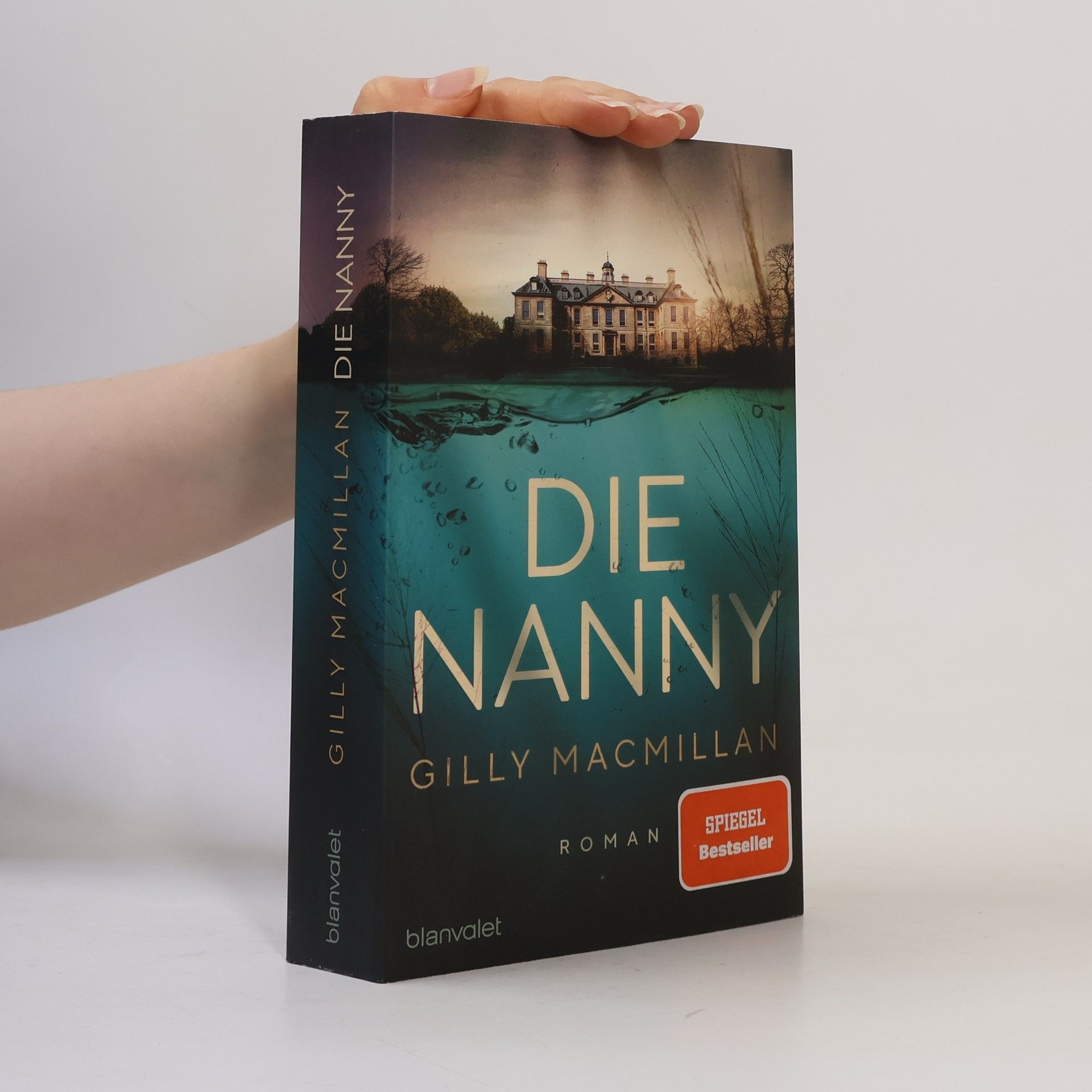 Gilly Macmillan Die Nanny
