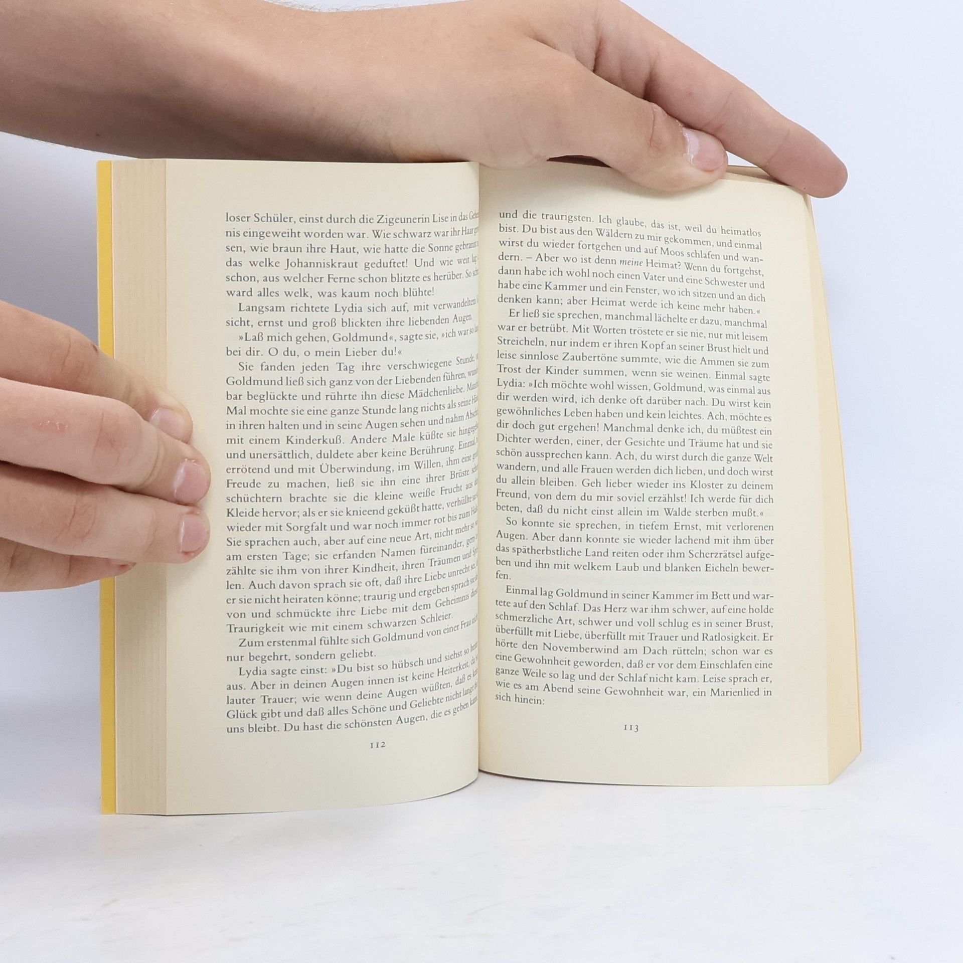 Hermann Hesse Narziss und Goldmund