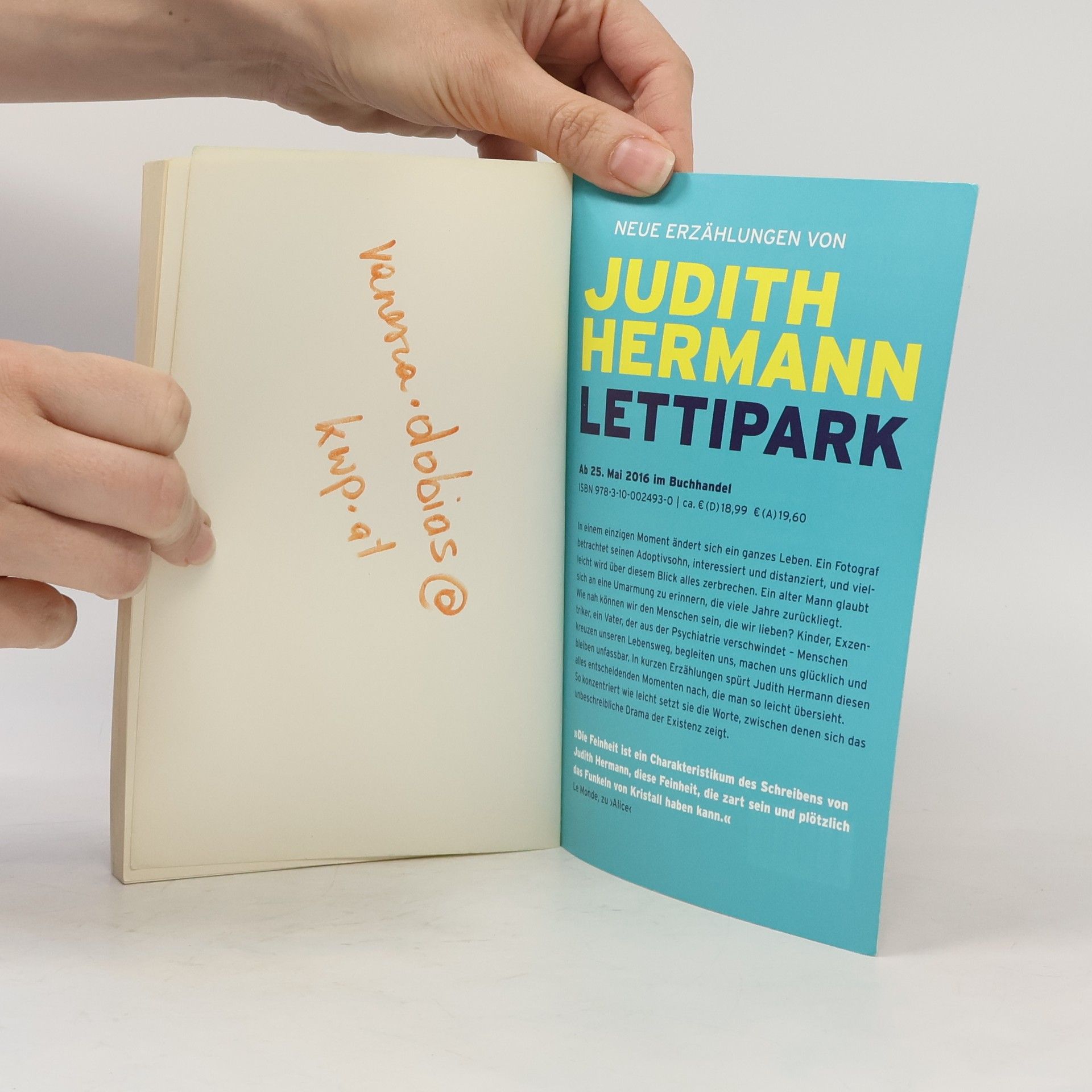 Judith Hermann Aller Liebe Anfang