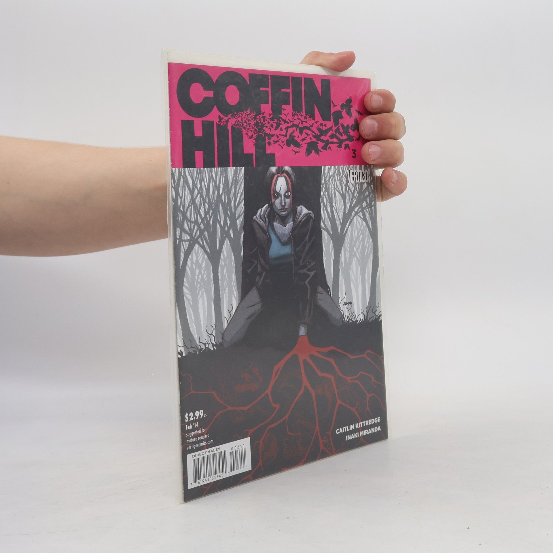 Coffin Hill 3/2014